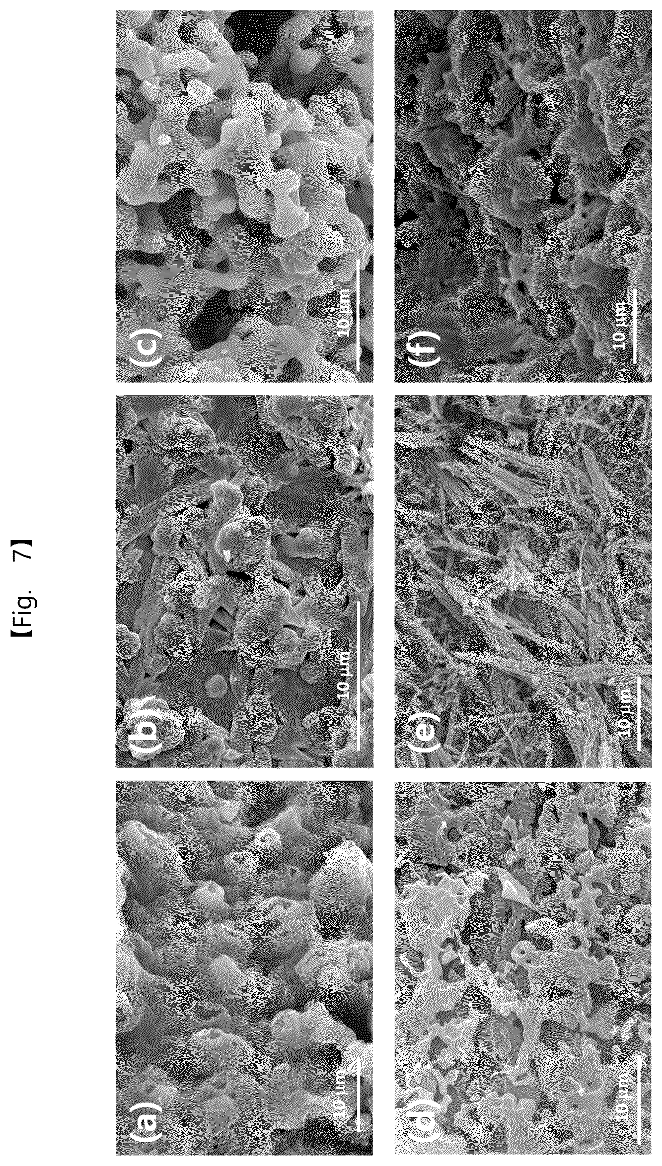 Patent US12562389 Figure 5 – Intermediate product of electrode, electrode powder, electrode using same, electrode pellet using same and method for producing each thereof