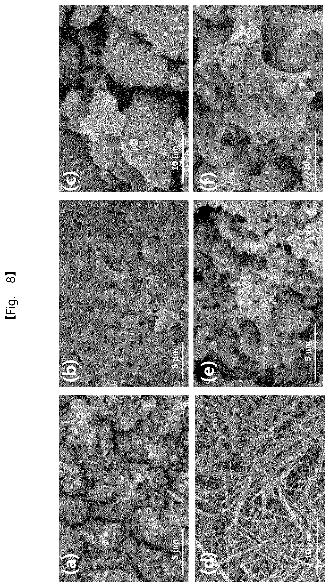 Patent US12562389 Figure 6 – Intermediate product of electrode, electrode powder, electrode using same, electrode pellet using same and method for producing each thereof