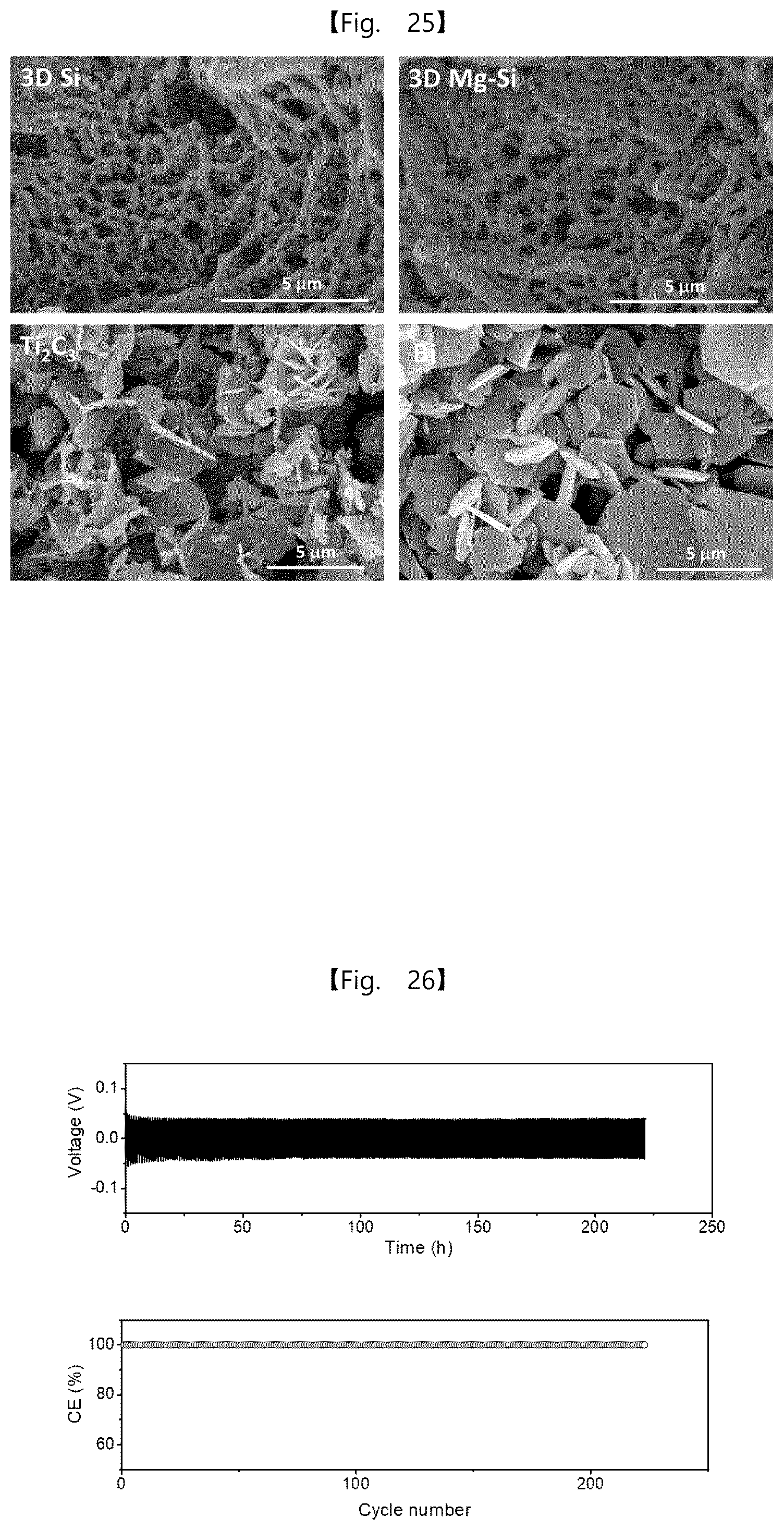 Patent US12562389 Figure 16 – Intermediate product of electrode, electrode powder, electrode using same, electrode pellet using same and method for producing each thereof