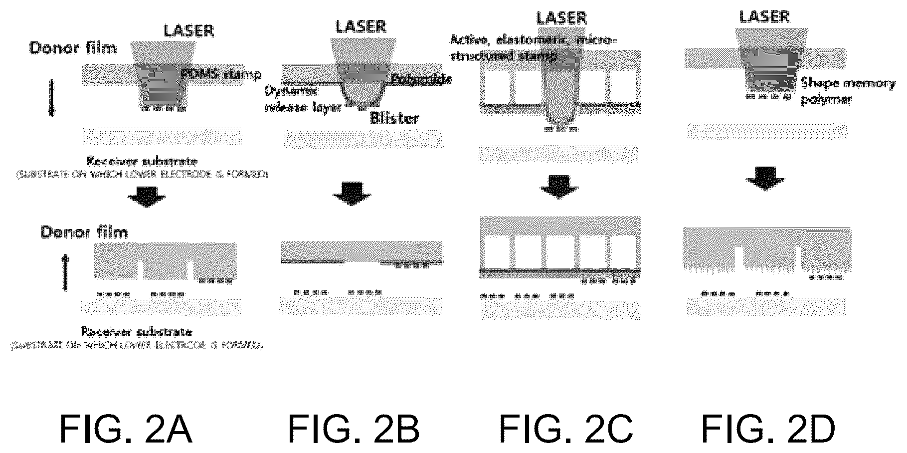 Patent US12564005 Figure 3 – Ultra-thin transfer film of ultra-thin LED element for manufacturing ultra-thin LED electrode assembly using laser-assisted multi-chip transfer printing, ultra-thin LED electrode assembly, and manufacturing method thereof