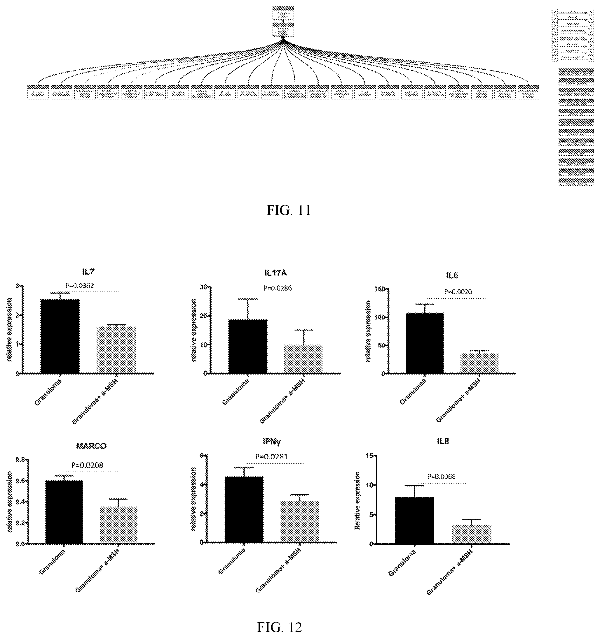 Patent US12564179 Figure 11 – 