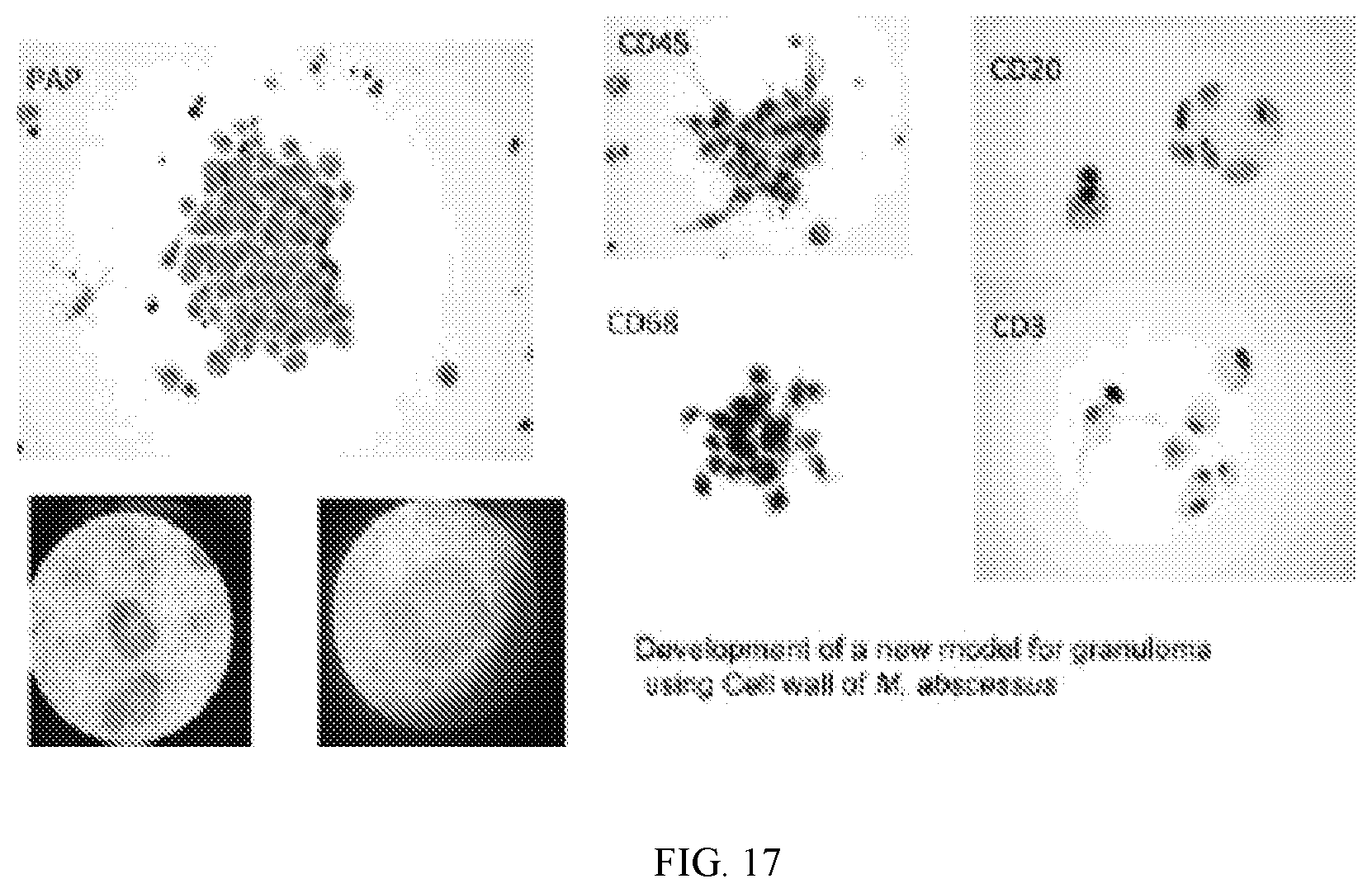 Patent US12564179 Figure 16 – 