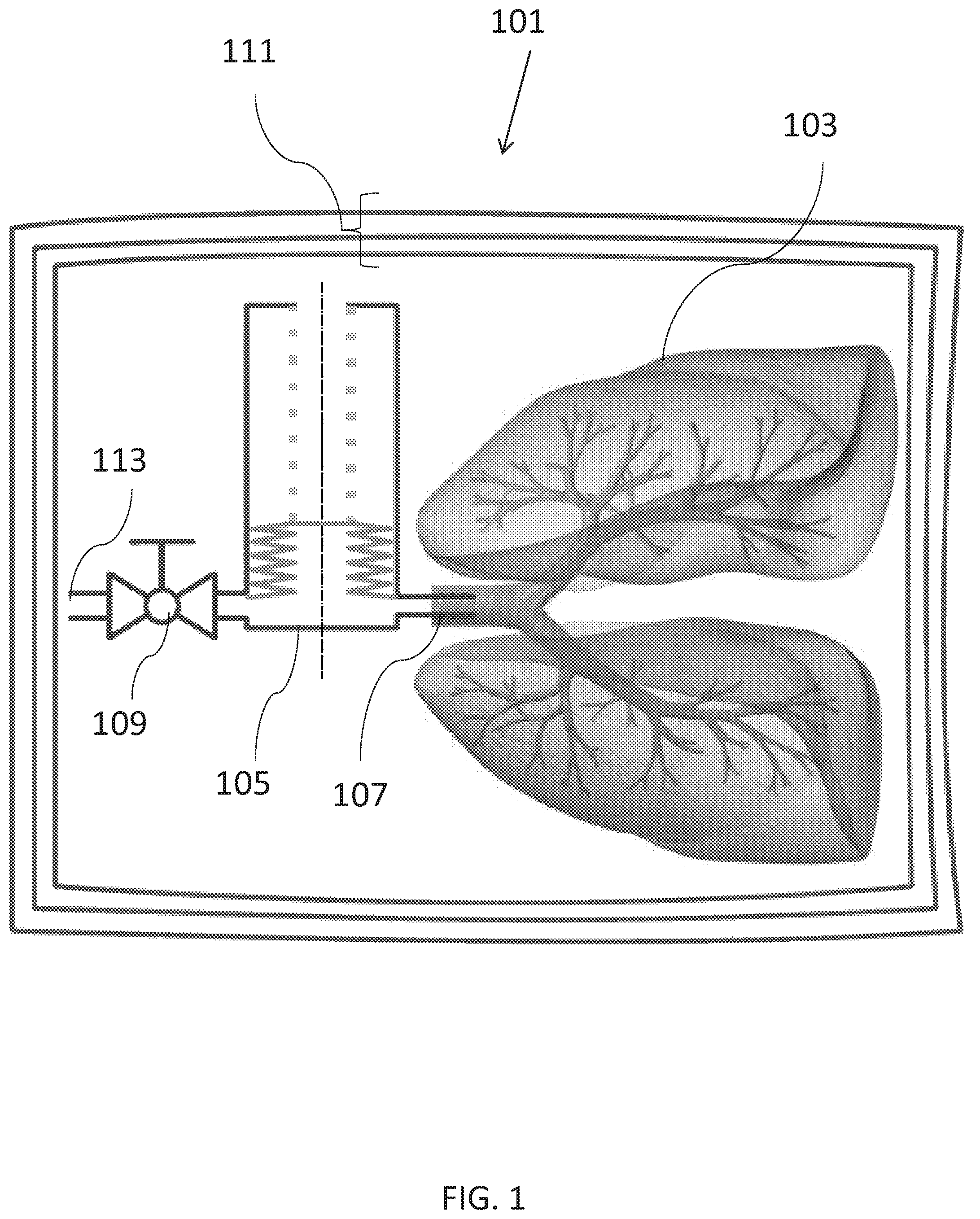 Patent US12564187 Figure 1 – Apparatus for tissue transport and preservation