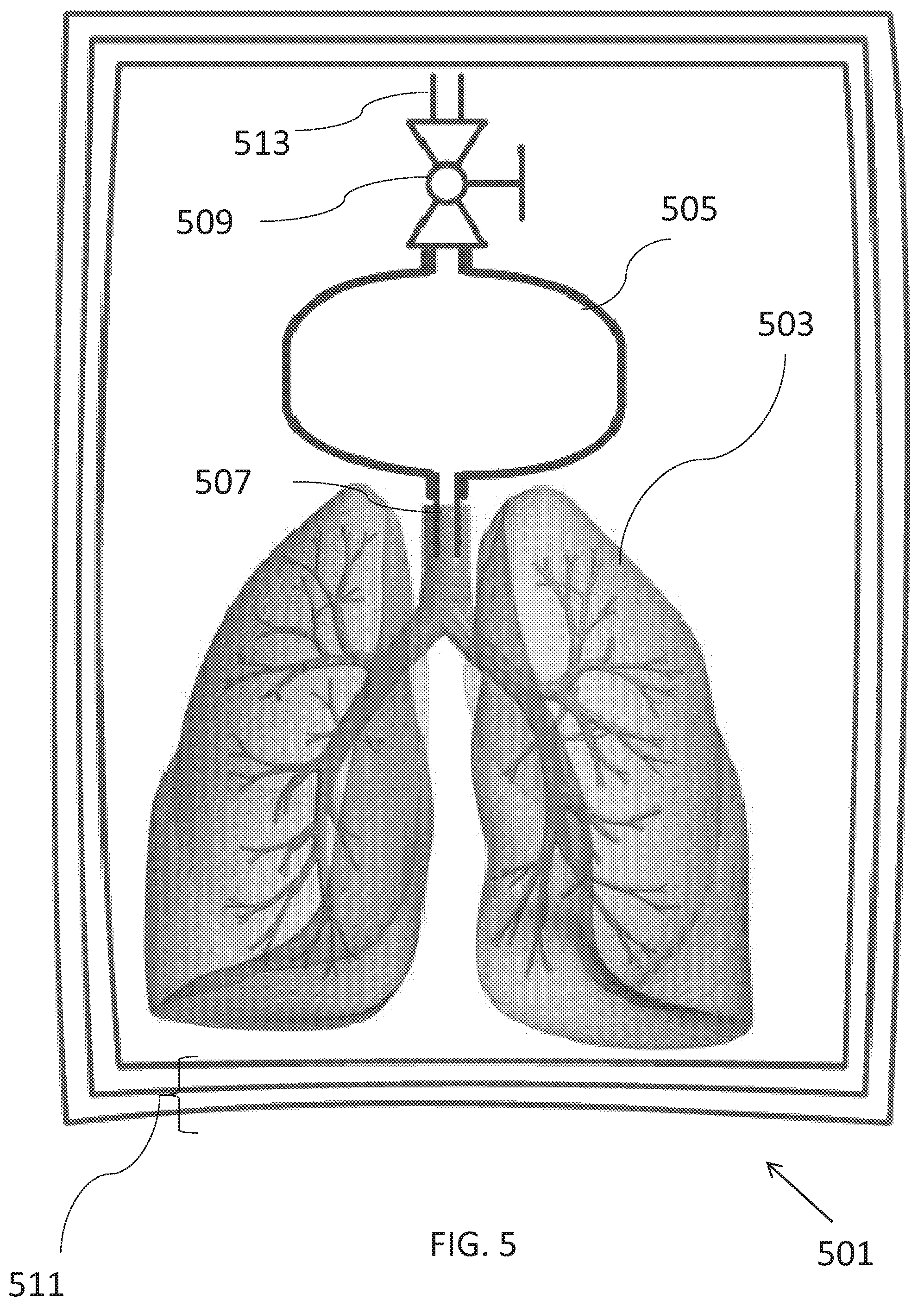 Patent US12564187 Figure 5 – Apparatus for tissue transport and preservation