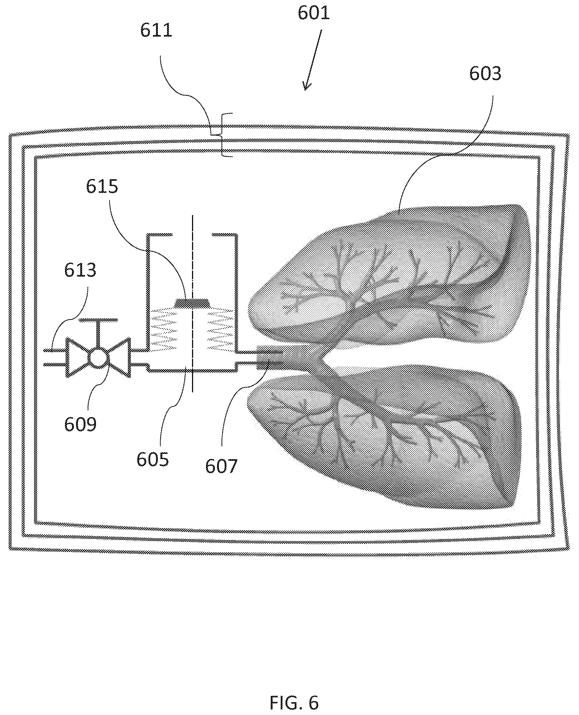Patent US12564187 Figure 6 – Apparatus for tissue transport and preservation