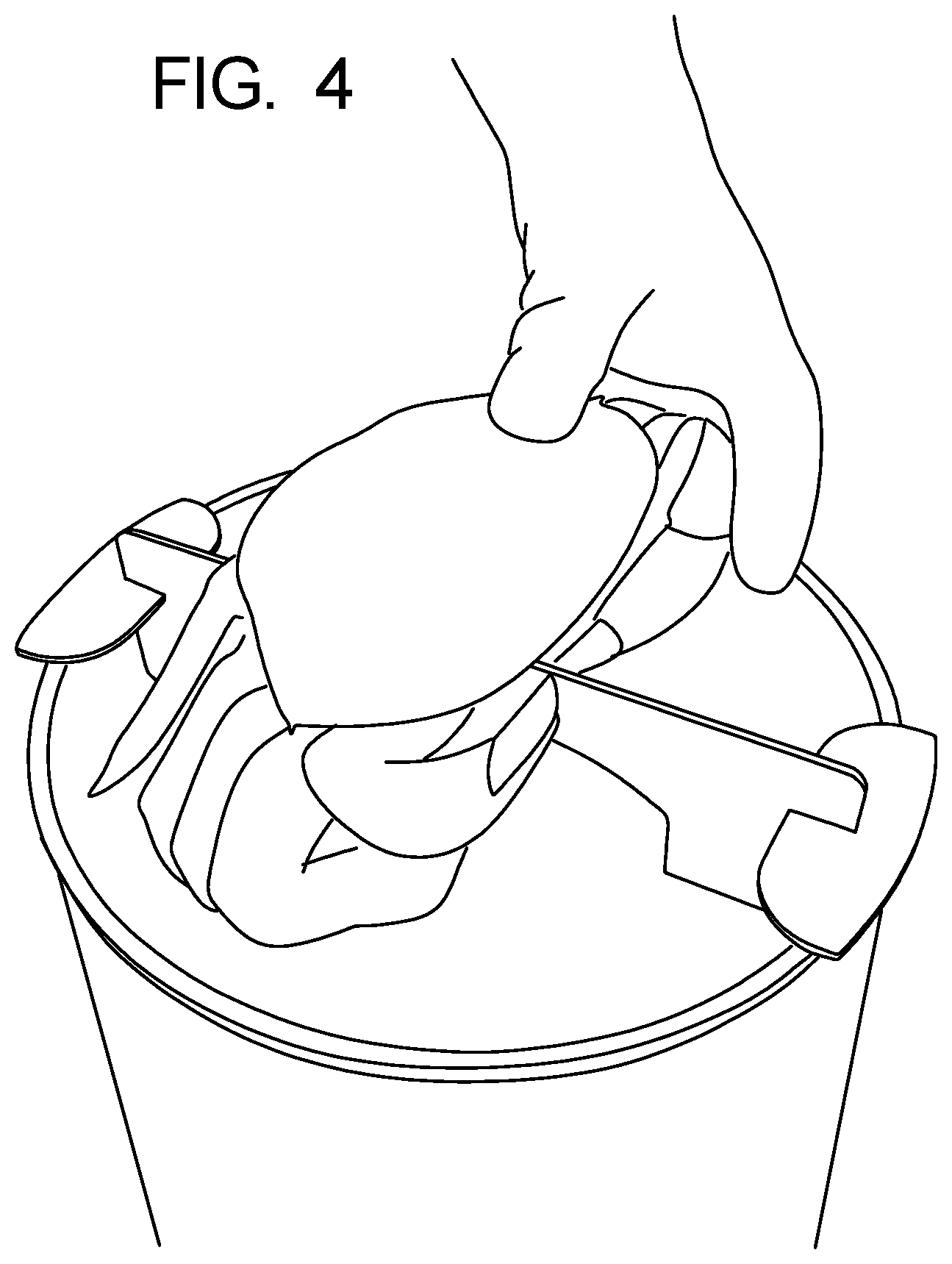 Patent US12564195 Figure 3 – Crab processing systems and methods
