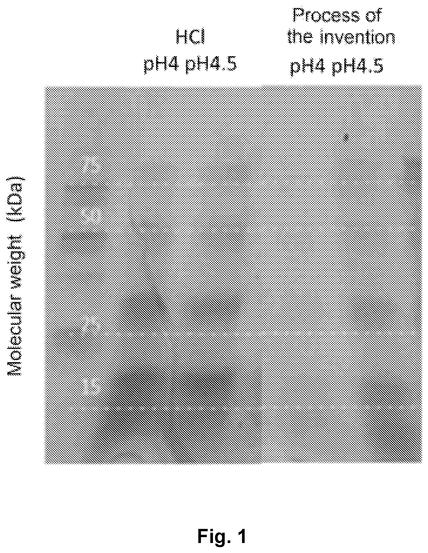 Patent US12564200 Figure 1 – Process for the preparation of undenatured vegetable proteic isolates