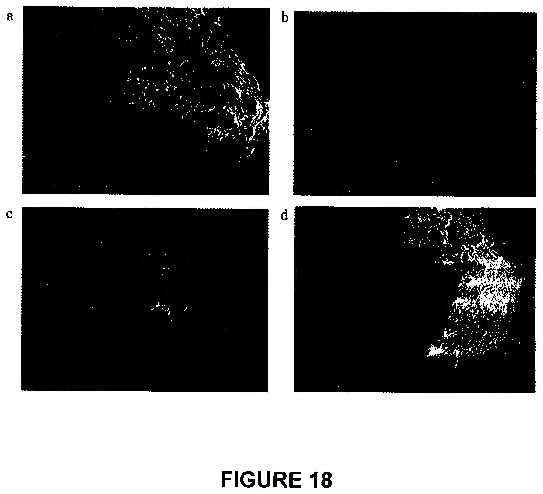 Patent US12564206 Figure 16 – Multi-supplement food-additive