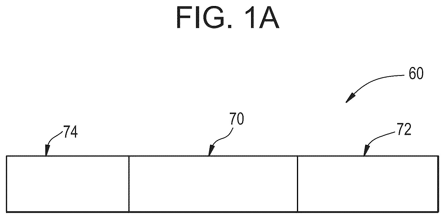 Patent US12564219 Figure 1 – Non-combustible smoking systems, devices and elements thereof