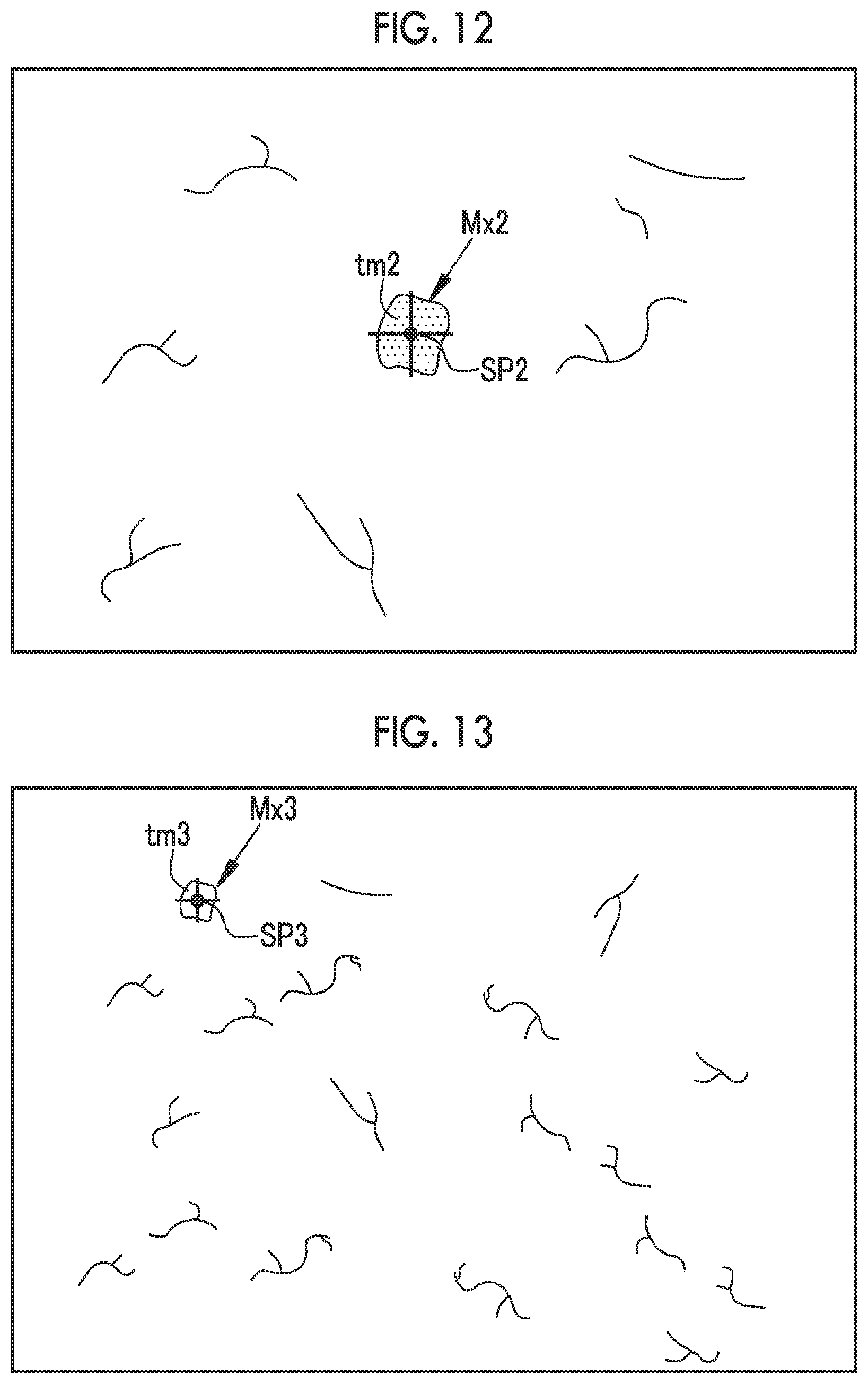 Patent US12564310 Figure 11 – Endoscope and endoscope apparatus