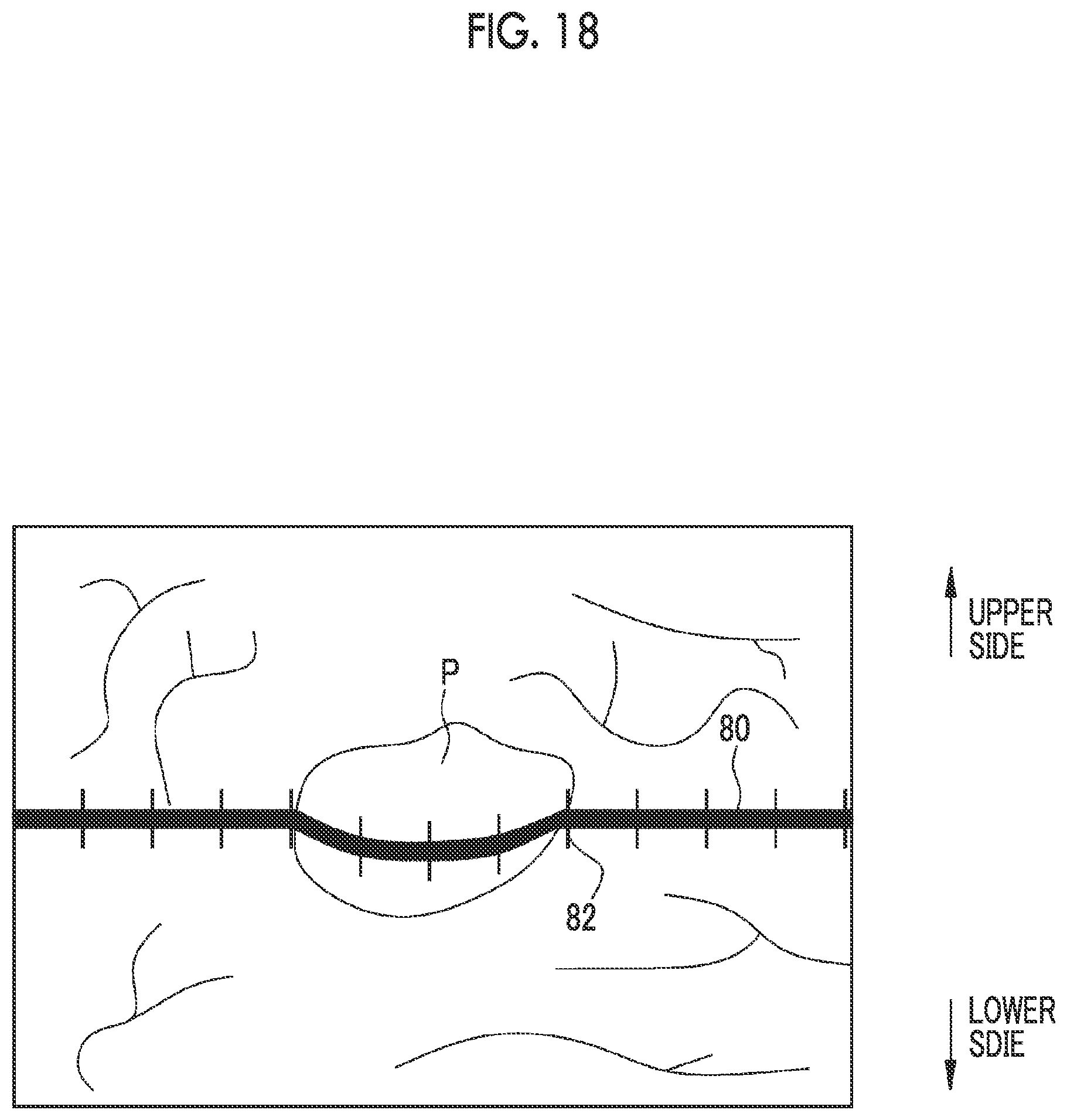 Patent US12564310 Figure 14 – Endoscope and endoscope apparatus