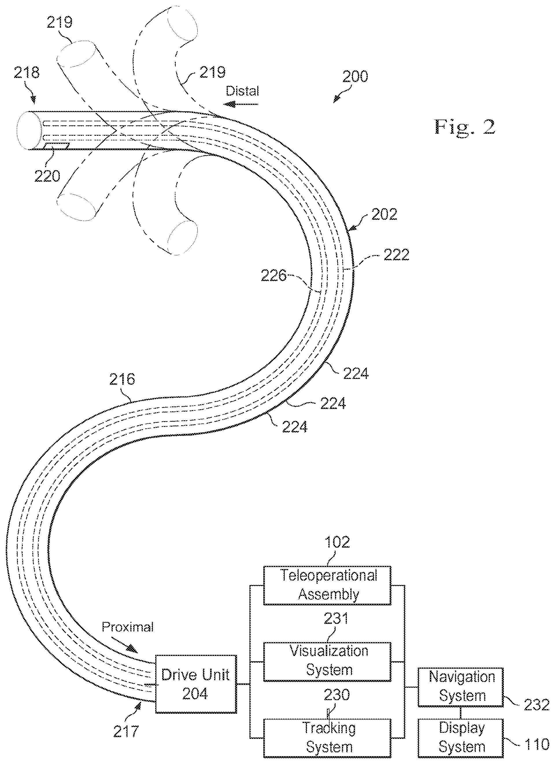 Patent US12564313 Figure 2 – Systems and methods of integrated real-time visualization