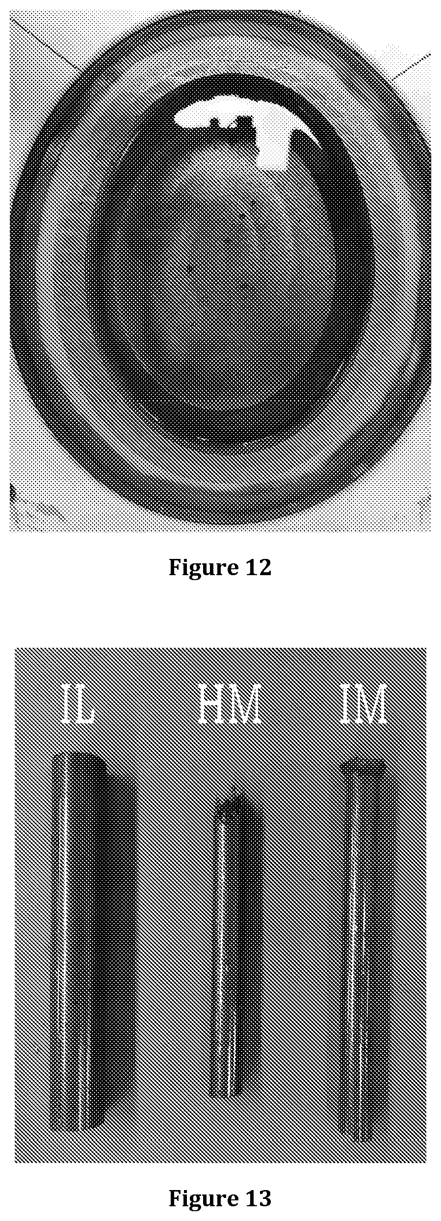Patent US12564325 Figure 10 – Electromagnetic imaging apparatus and process