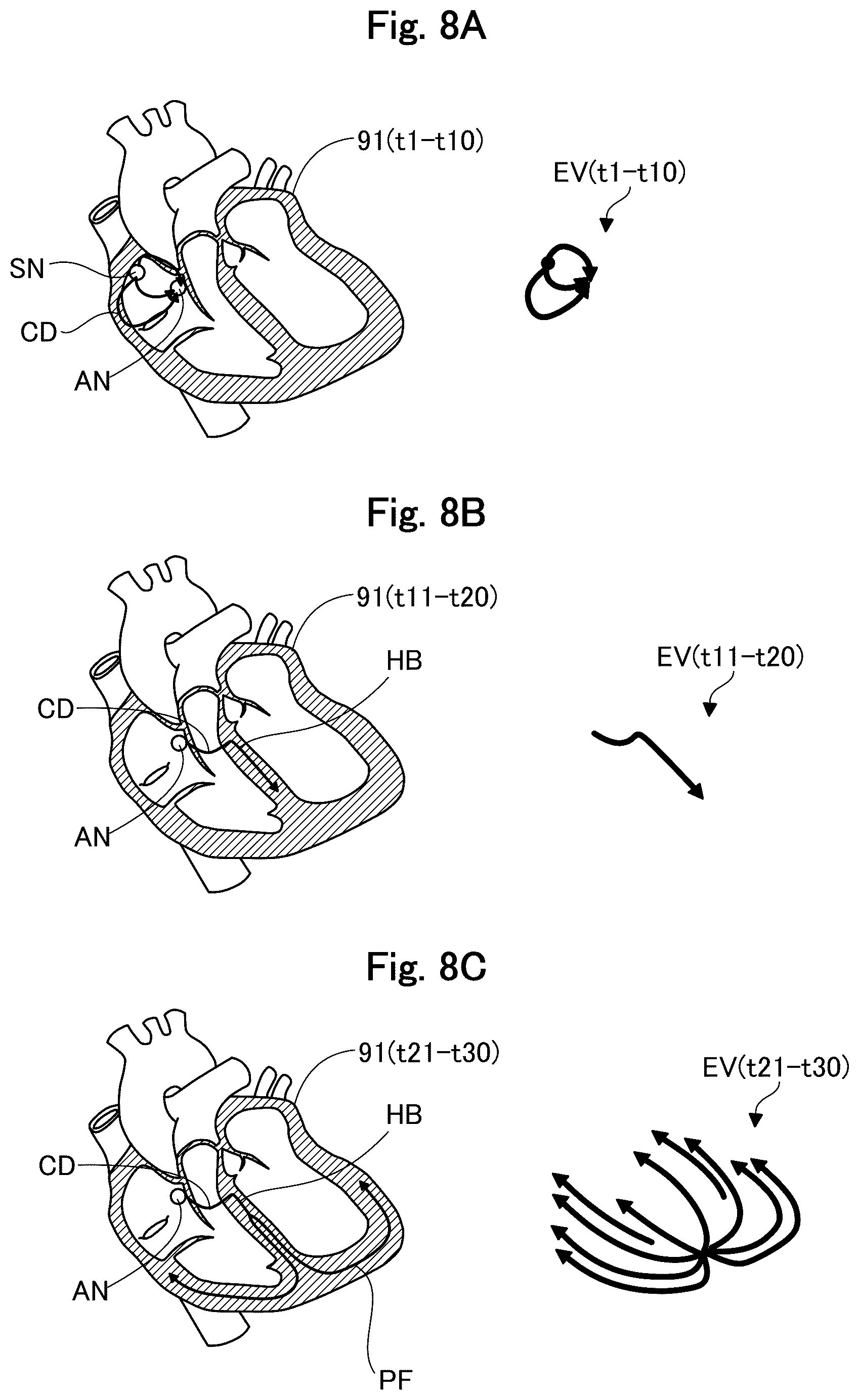 Patent US12564345 Figure 8 – Medical apparatus, and image generation method for visualizing temporal trends of biomagnetic data on an organ model