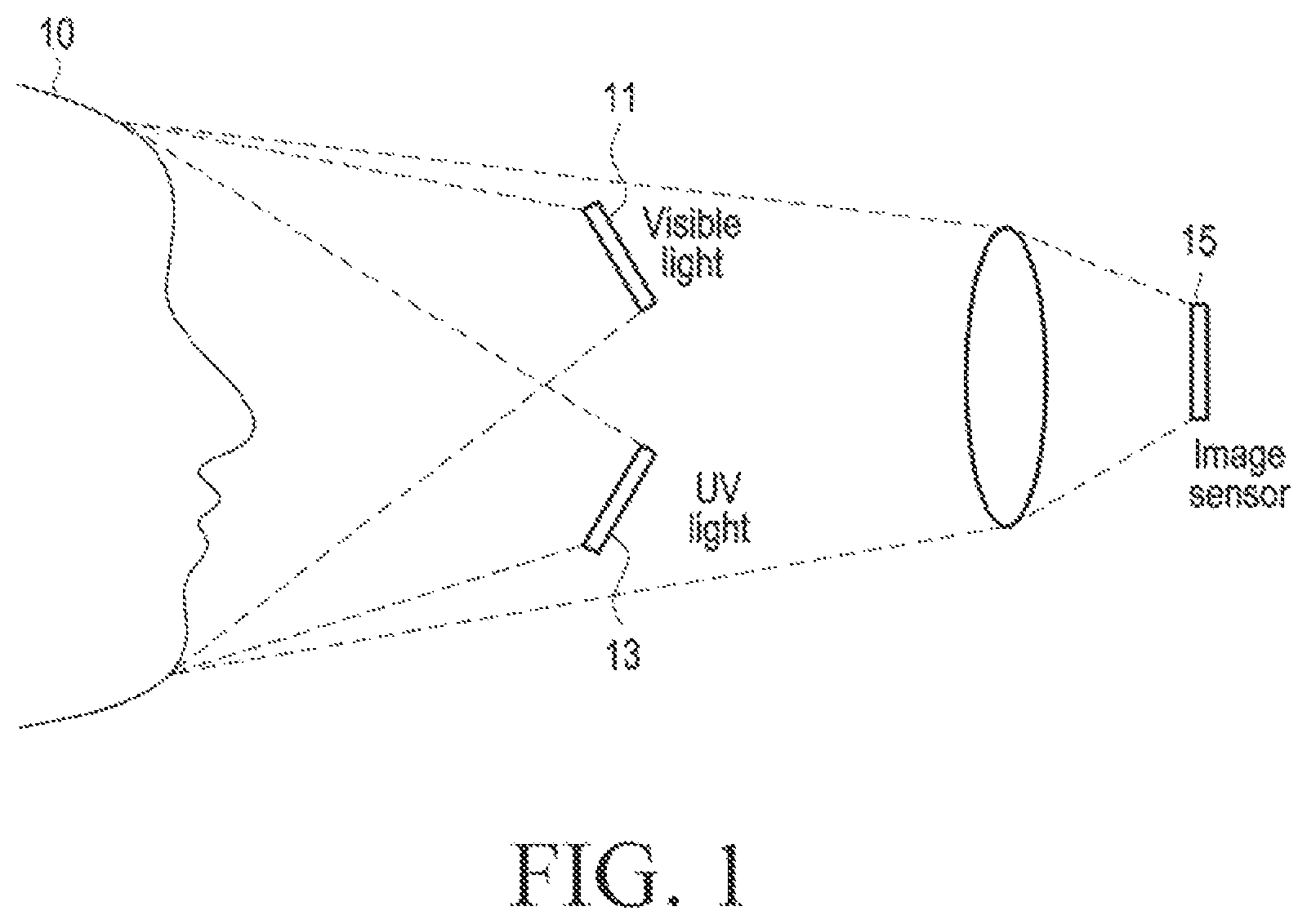 Patent US12564353 Figure 1 – Electronic apparatus and method for measuring skin fluorescence using electronic apparatus