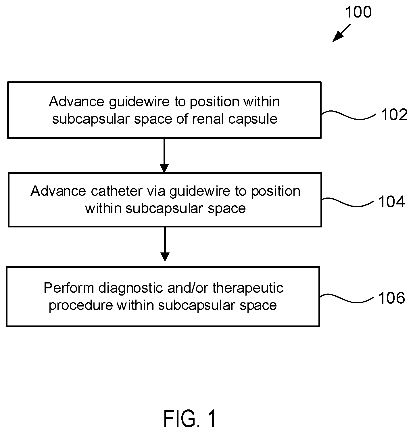 Patent US12564423 Figure 1 – Systems and methods for accessing a renal capsule for diagnostic and therapeutic purposes