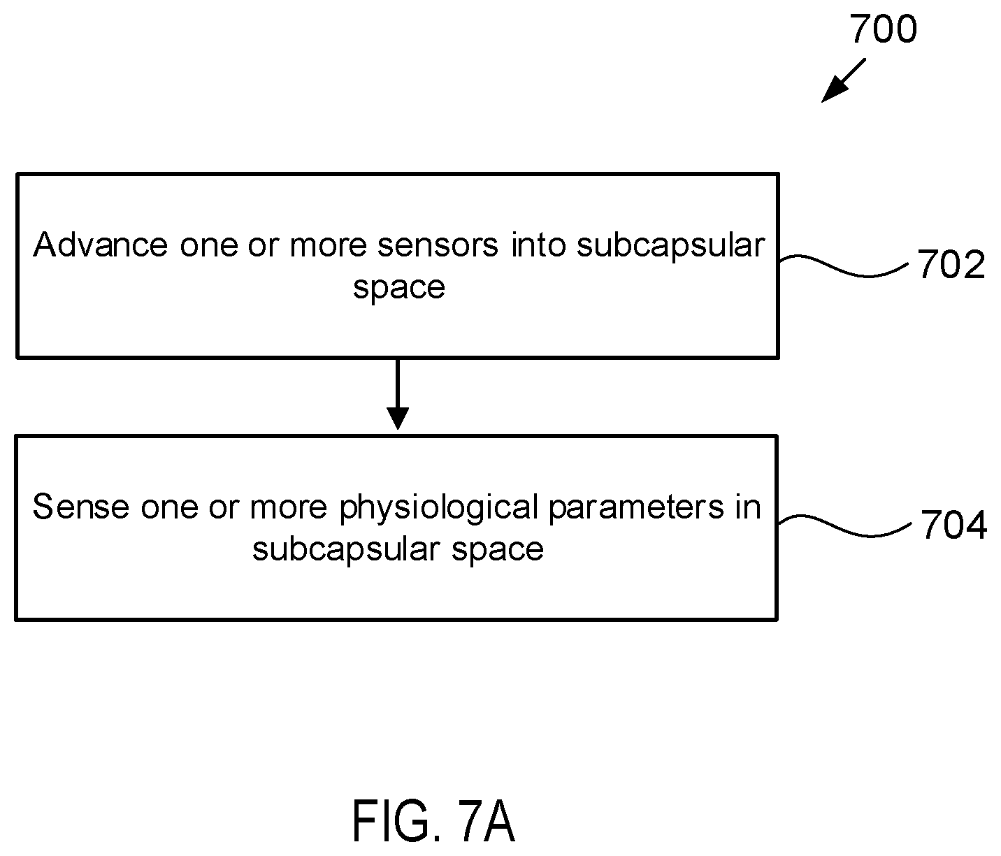 Patent US12564423 Figure 12 – Systems and methods for accessing a renal capsule for diagnostic and therapeutic purposes