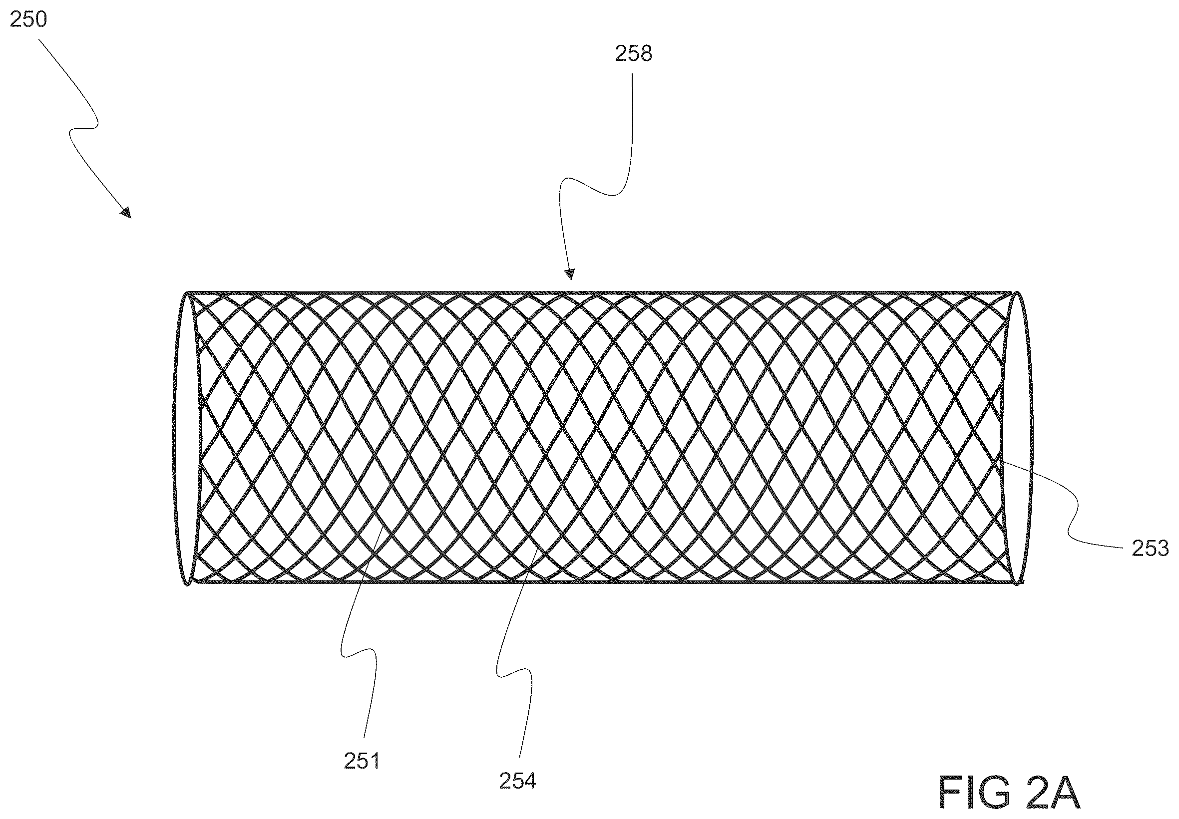 Patent US12564486 Figure 2 – Devices and methods for treating an aneurysm