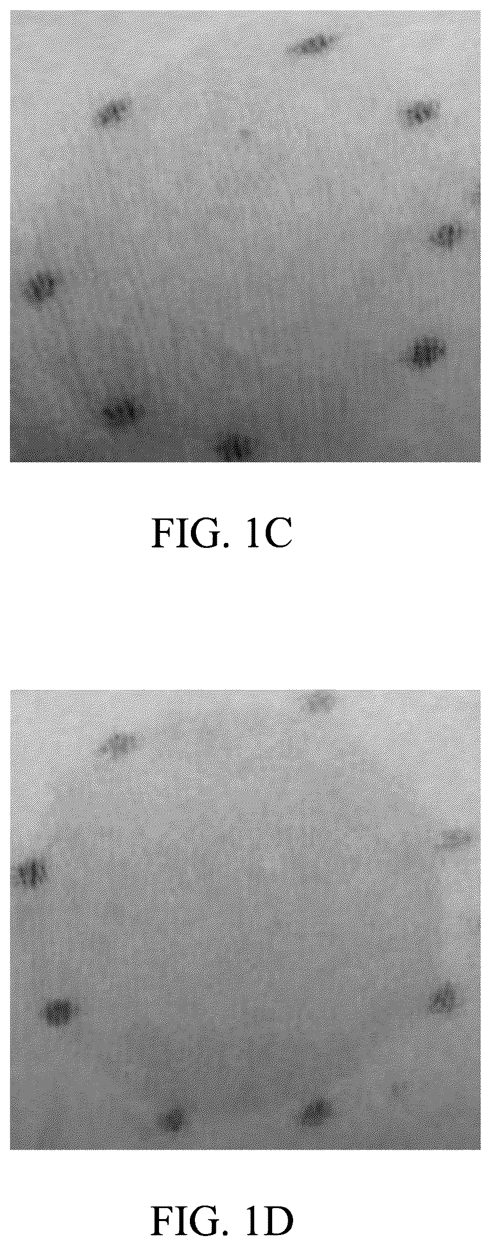 Patent US12564546 Figure 2 – Self-tanning compositions containing an aromatic sulfonate and methods thereof