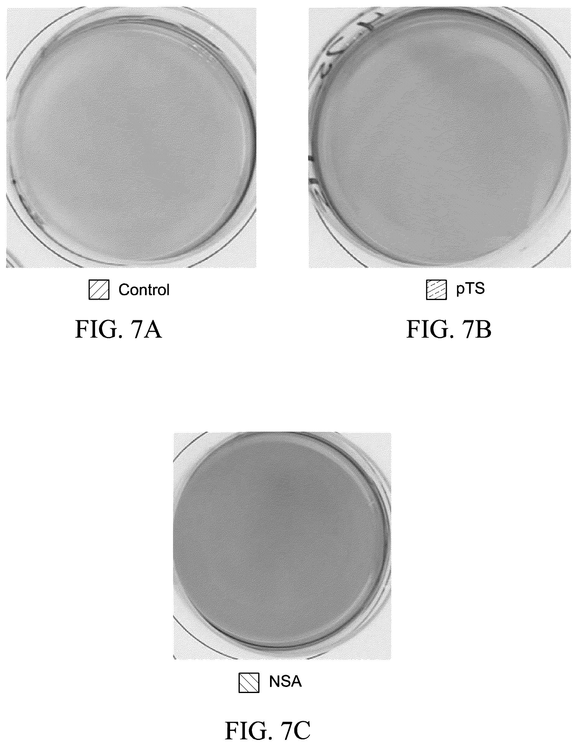 Patent US12564546 Figure 6 – Self-tanning compositions containing an aromatic sulfonate and methods thereof
