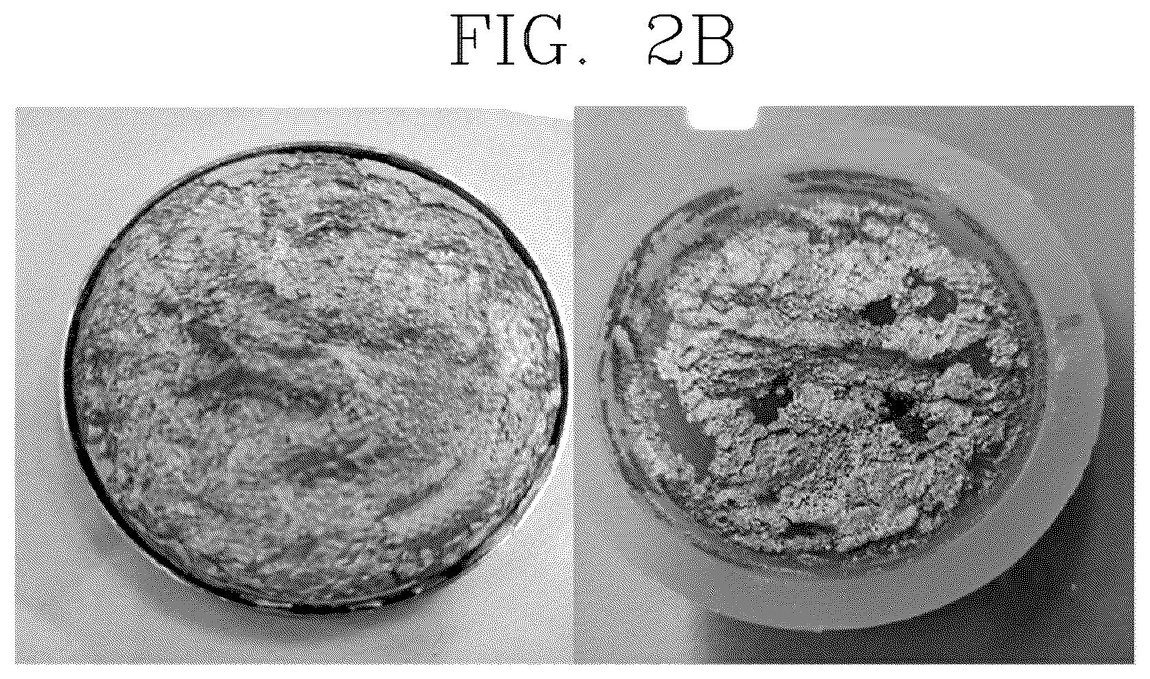 Patent US12564548 Figure 2 – Bake type makeup cosmetic composition and method for producing same
