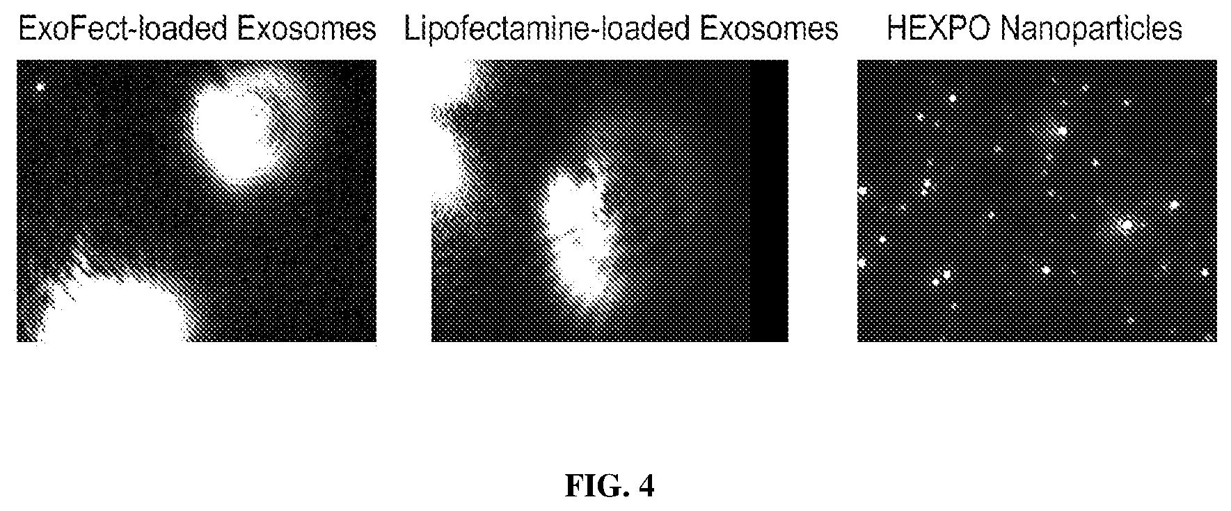 Patent US12564558 Figure 4 – Hybrid exosomal-polymeric (hexpo) nano-platform for delivery of RNAi therapeutics
