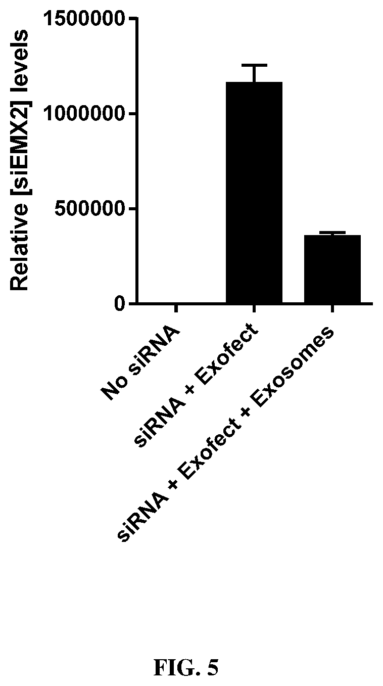 Patent US12564558 Figure 5 – Hybrid exosomal-polymeric (hexpo) nano-platform for delivery of RNAi therapeutics