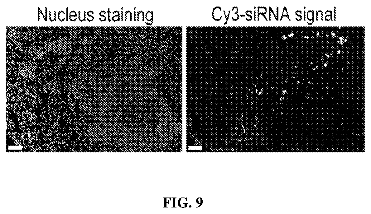 Patent US12564558 Figure 9 – Hybrid exosomal-polymeric (hexpo) nano-platform for delivery of RNAi therapeutics