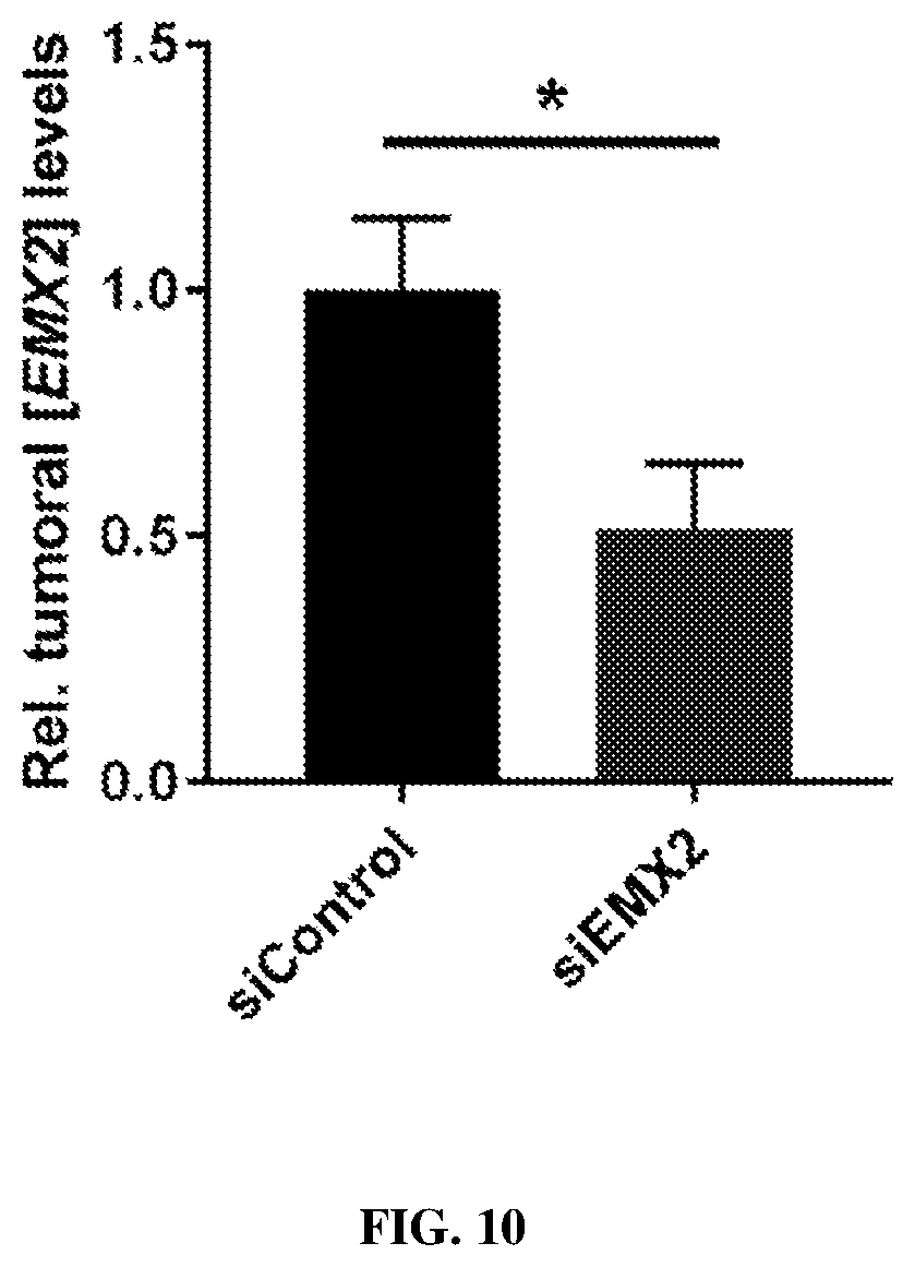 Patent US12564558 Figure 10 – Hybrid exosomal-polymeric (hexpo) nano-platform for delivery of RNAi therapeutics