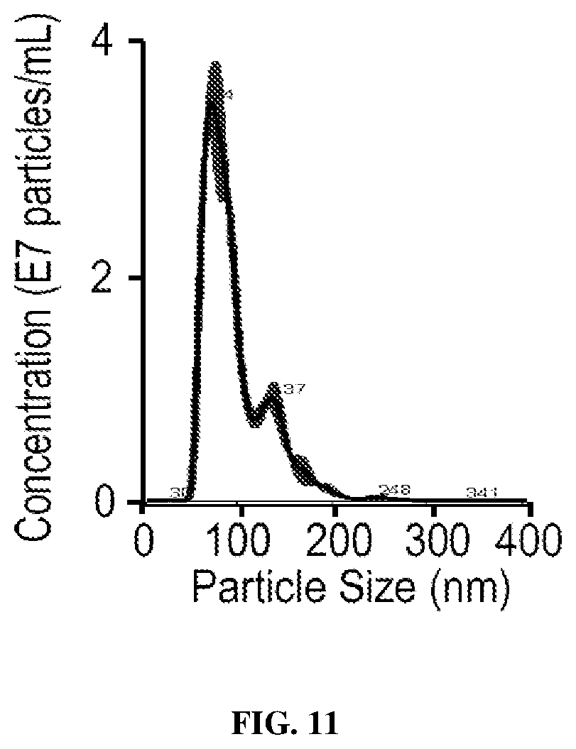 Patent US12564558 Figure 11 – Hybrid exosomal-polymeric (hexpo) nano-platform for delivery of RNAi therapeutics