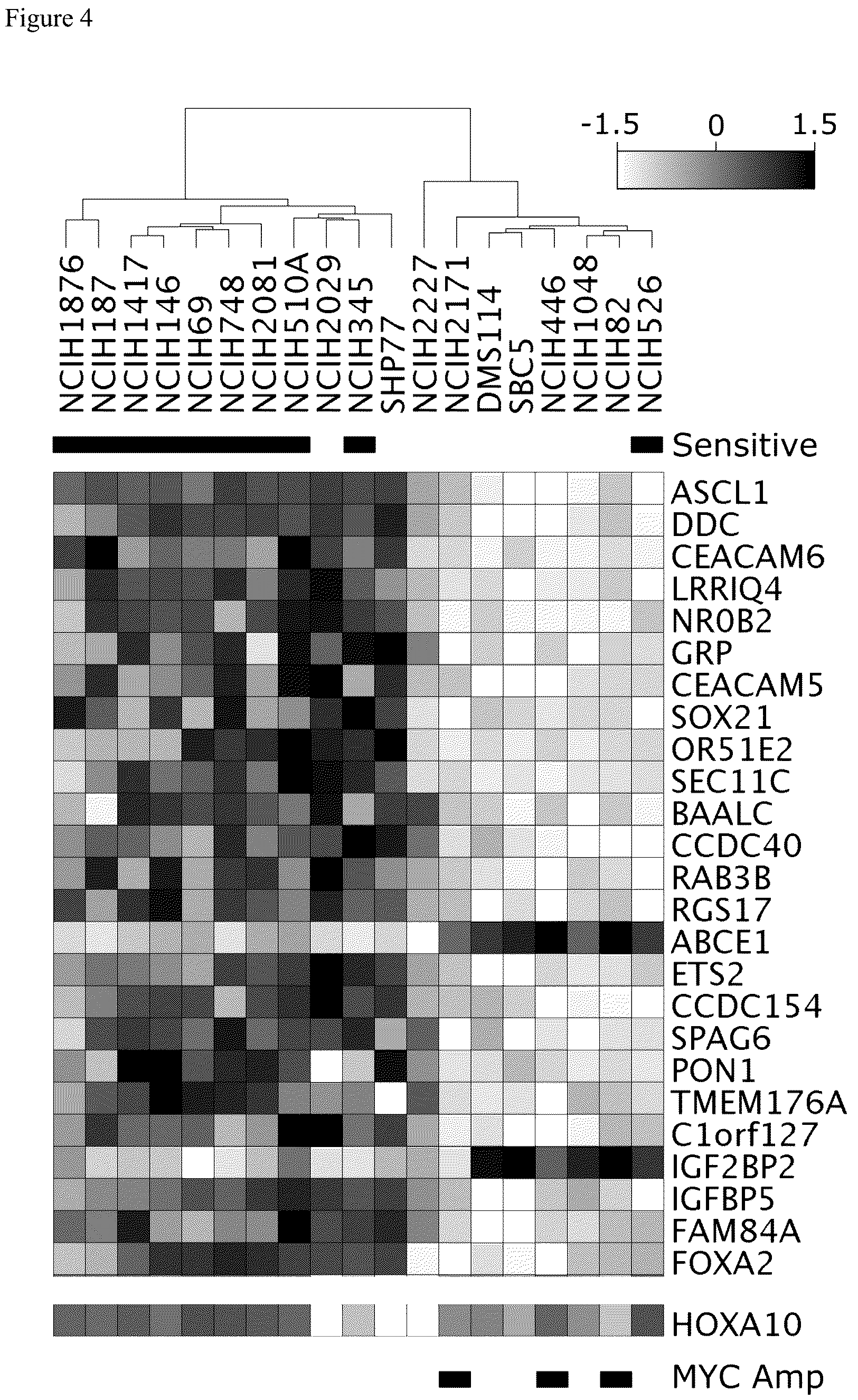 Patent US12564559 Figure 5 – Combinations of LSD1 inhibitors for use in the treatment of solid tumors