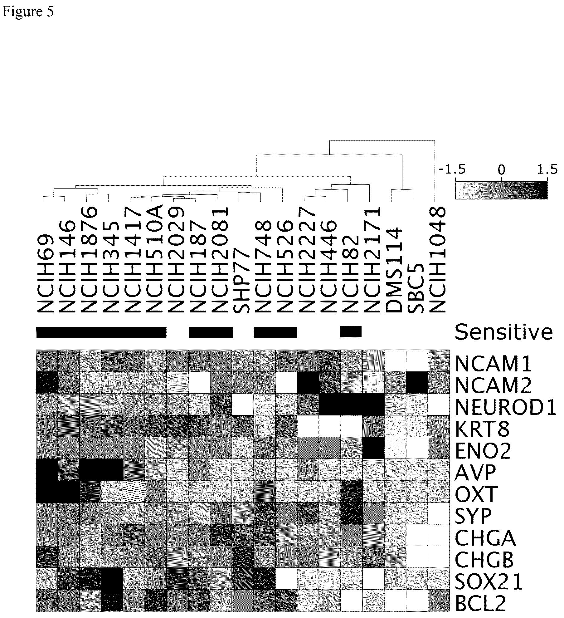 Patent US12564559 Figure 6 – Combinations of LSD1 inhibitors for use in the treatment of solid tumors