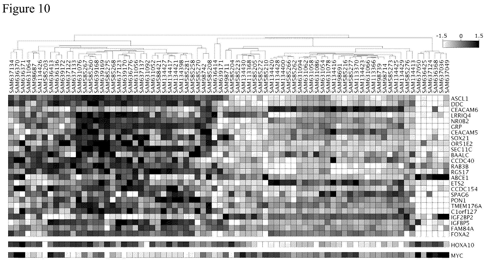 Patent US12564559 Figure 11 – Combinations of LSD1 inhibitors for use in the treatment of solid tumors