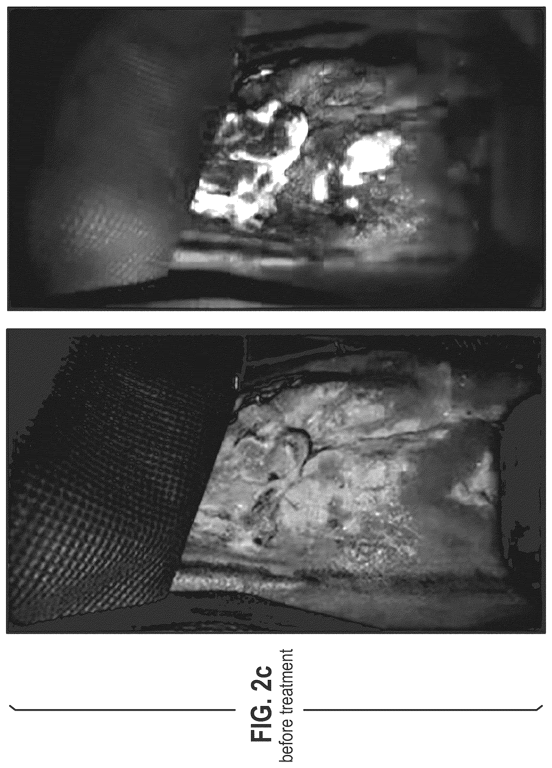 Patent US12564563 Figure 6 – Composition and methods for treating pathogenic infections on wounds