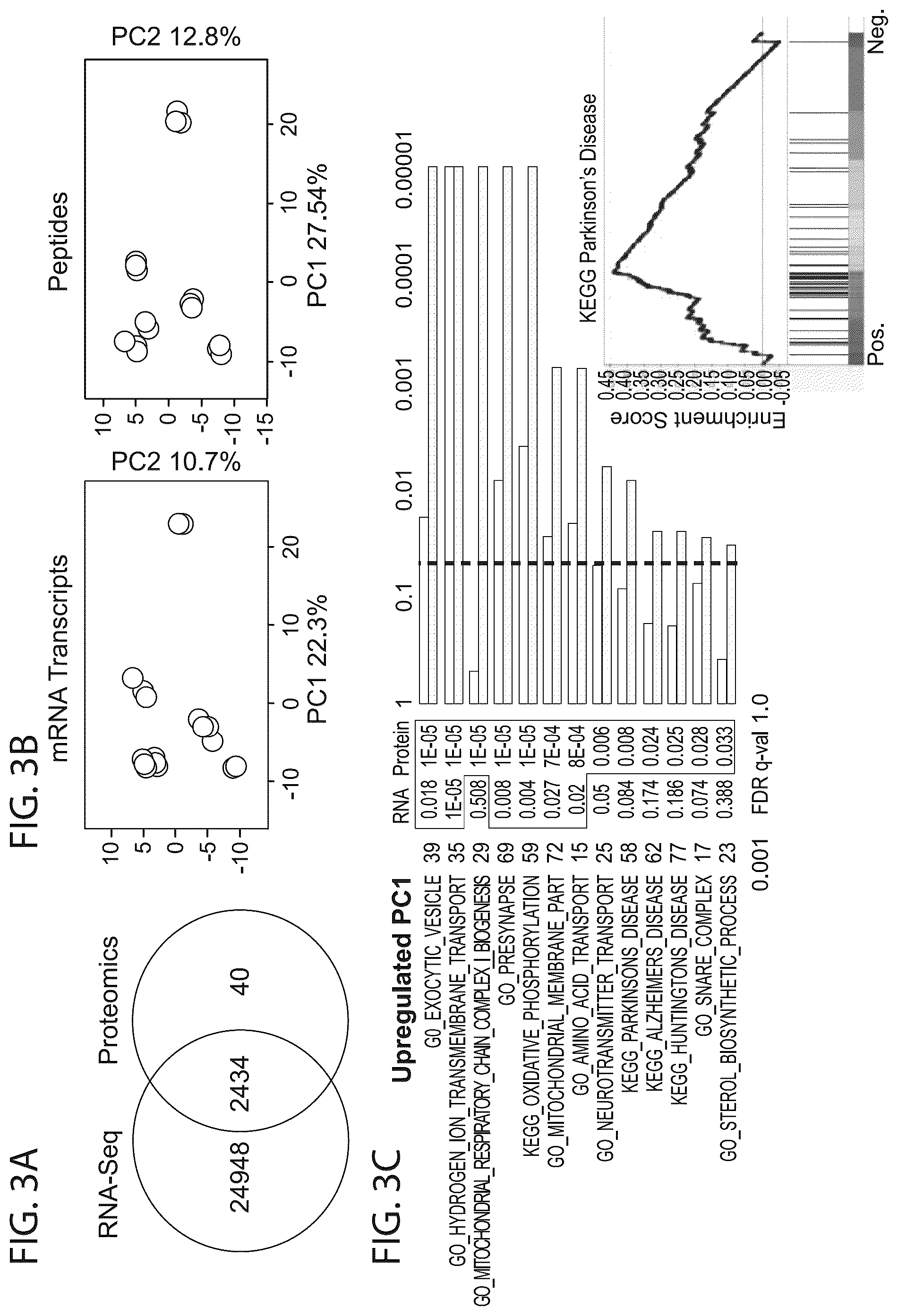 Patent US12564568 Figure 4 – PKC pathway in Parkinson's Disease