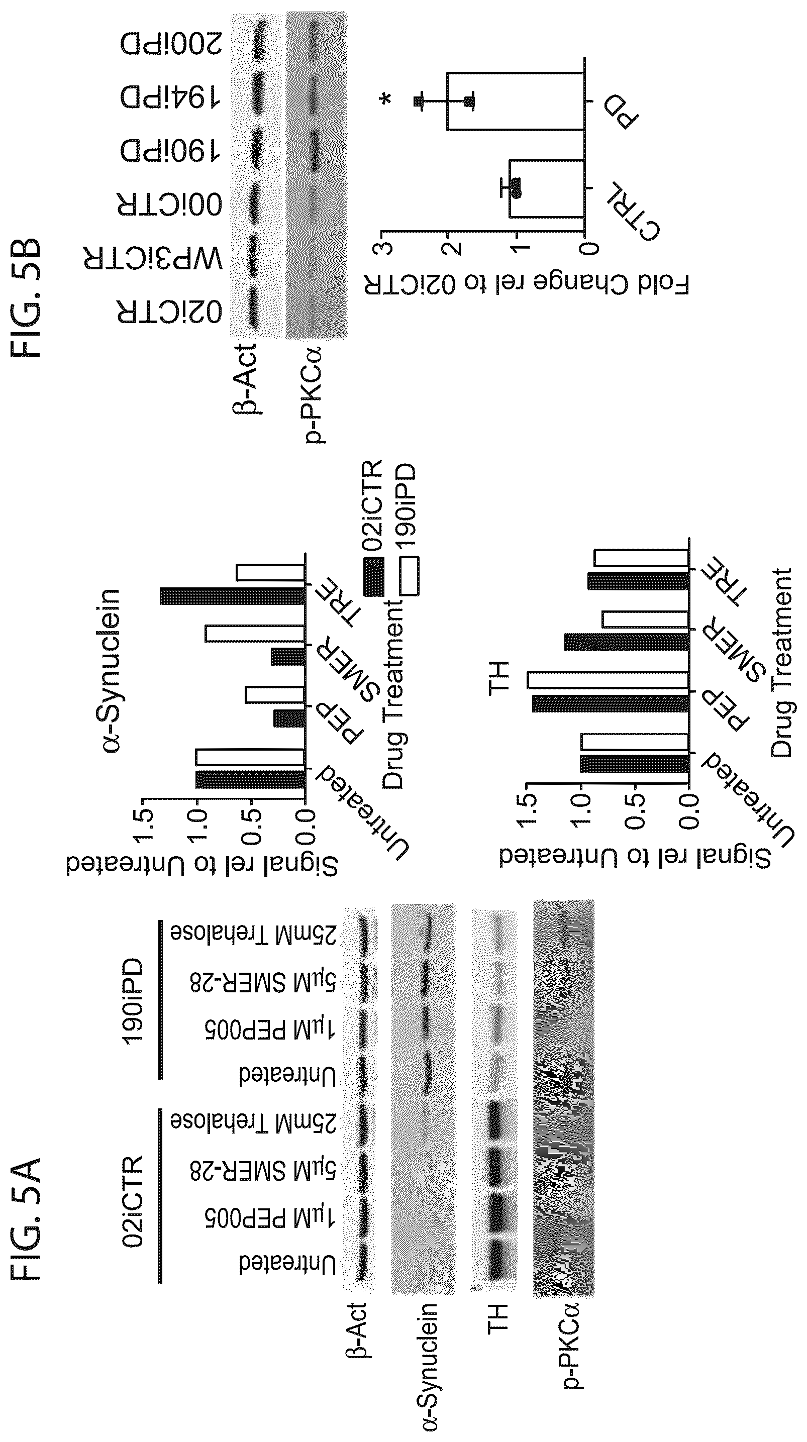 Patent US12564568 Figure 8 – PKC pathway in Parkinson's Disease