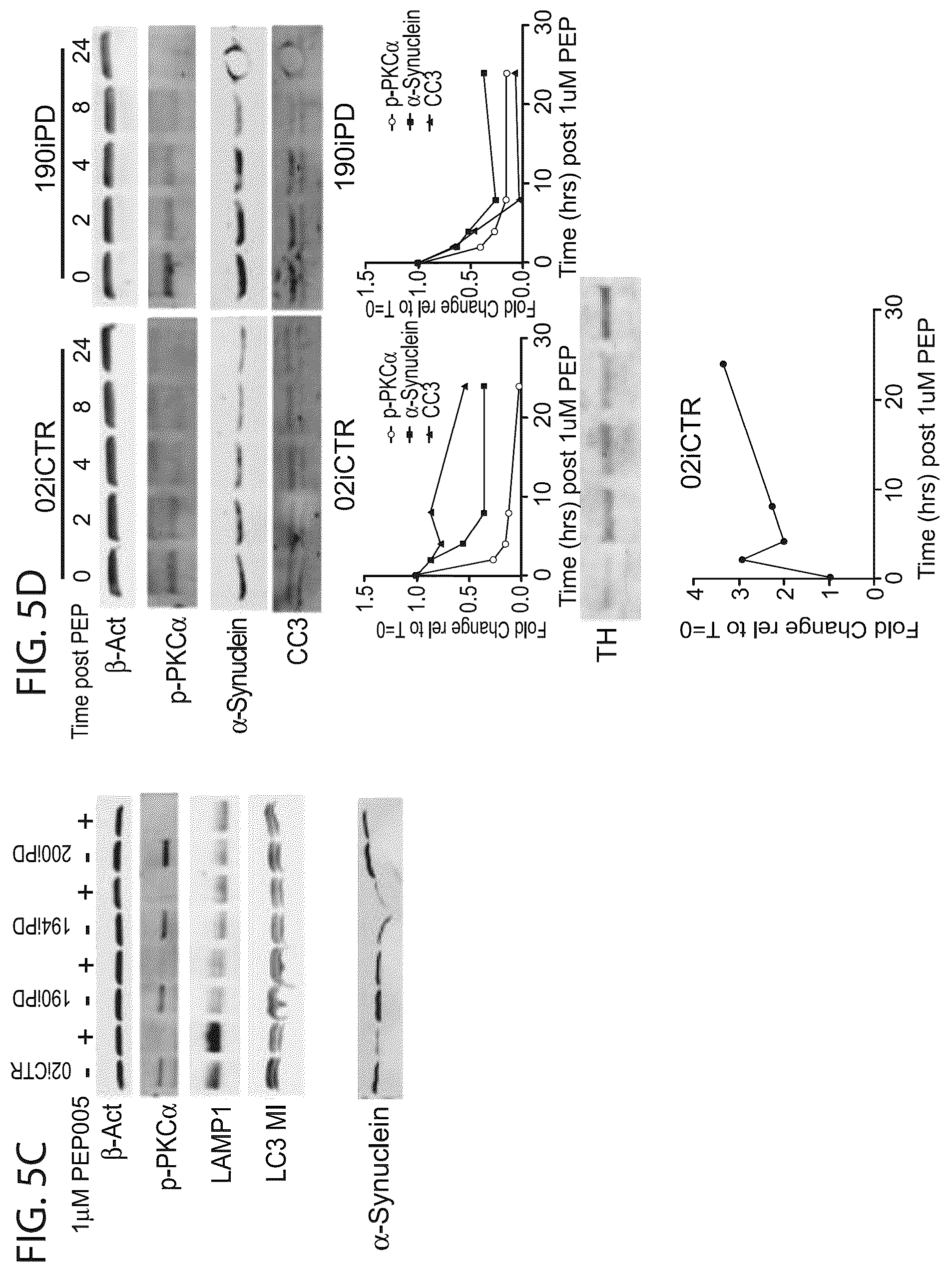 Patent US12564568 Figure 9 – PKC pathway in Parkinson's Disease