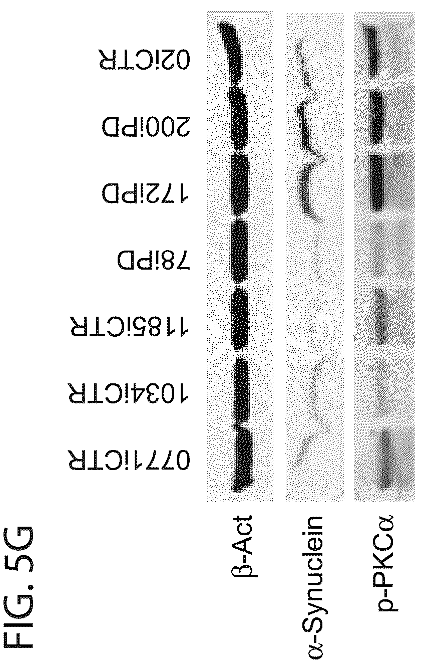 Patent US12564568 Figure 11 – PKC pathway in Parkinson's Disease