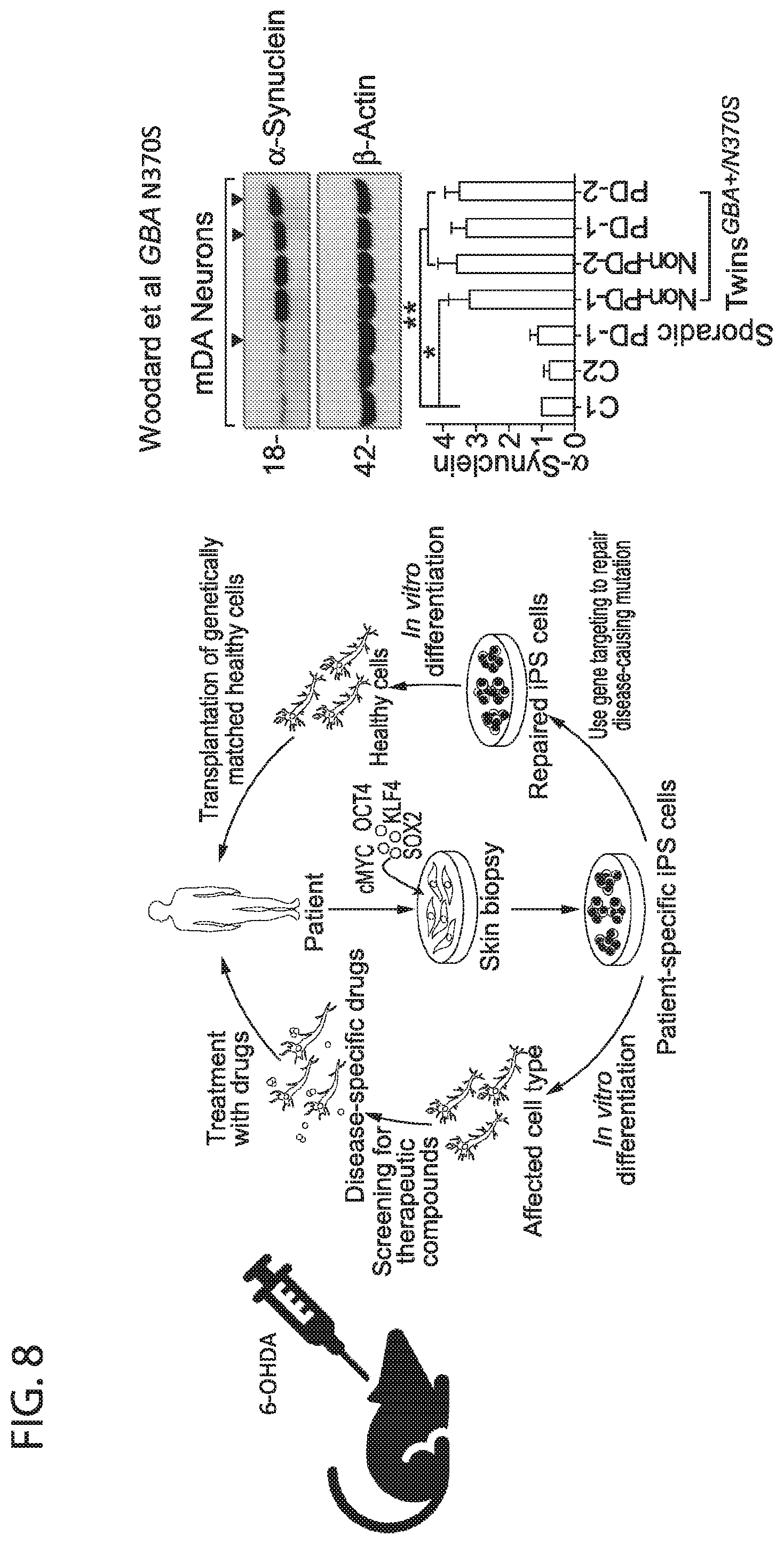 Patent US12564568 Figure 15 – PKC pathway in Parkinson's Disease