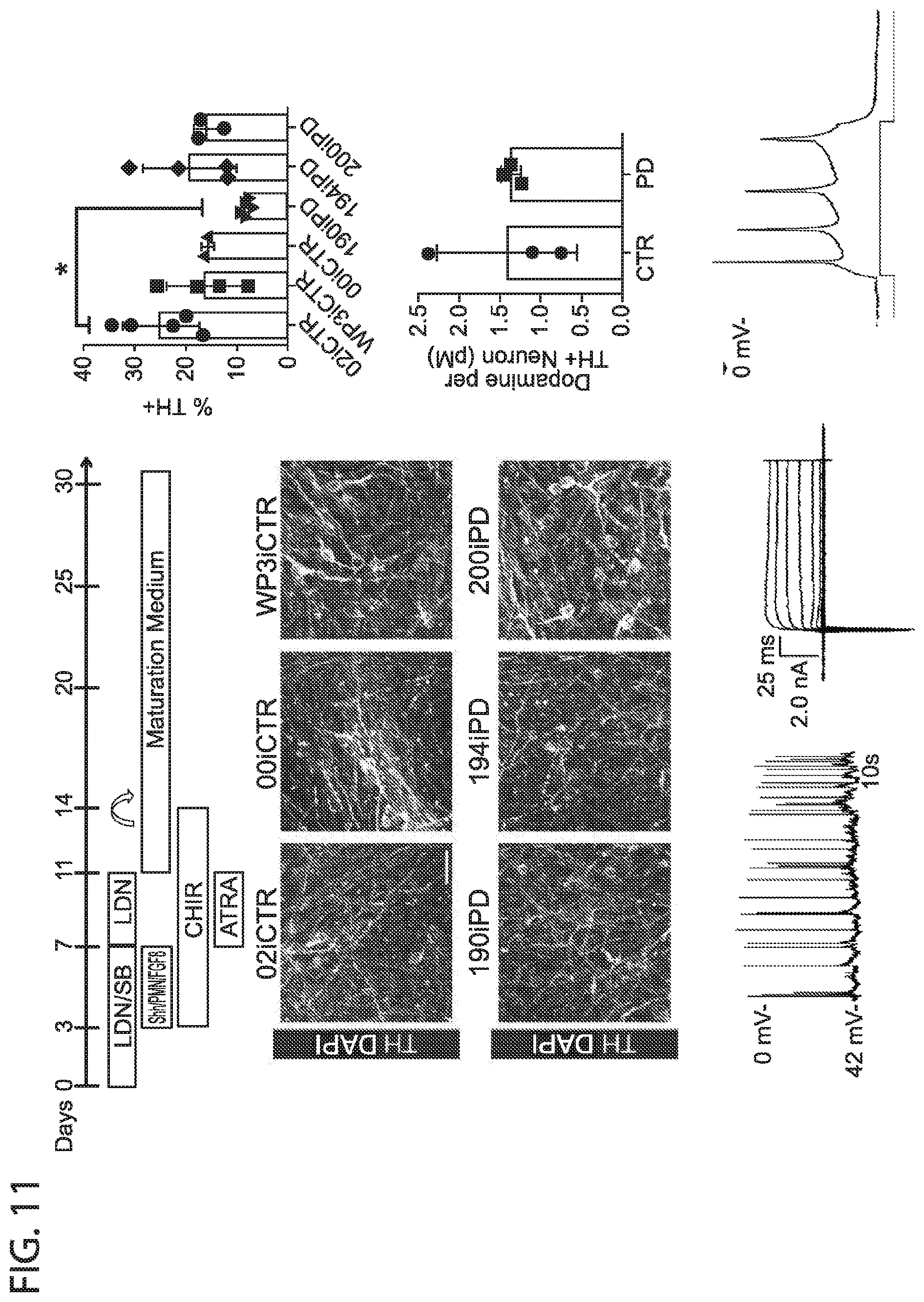 Patent US12564568 Figure 18 – PKC pathway in Parkinson's Disease