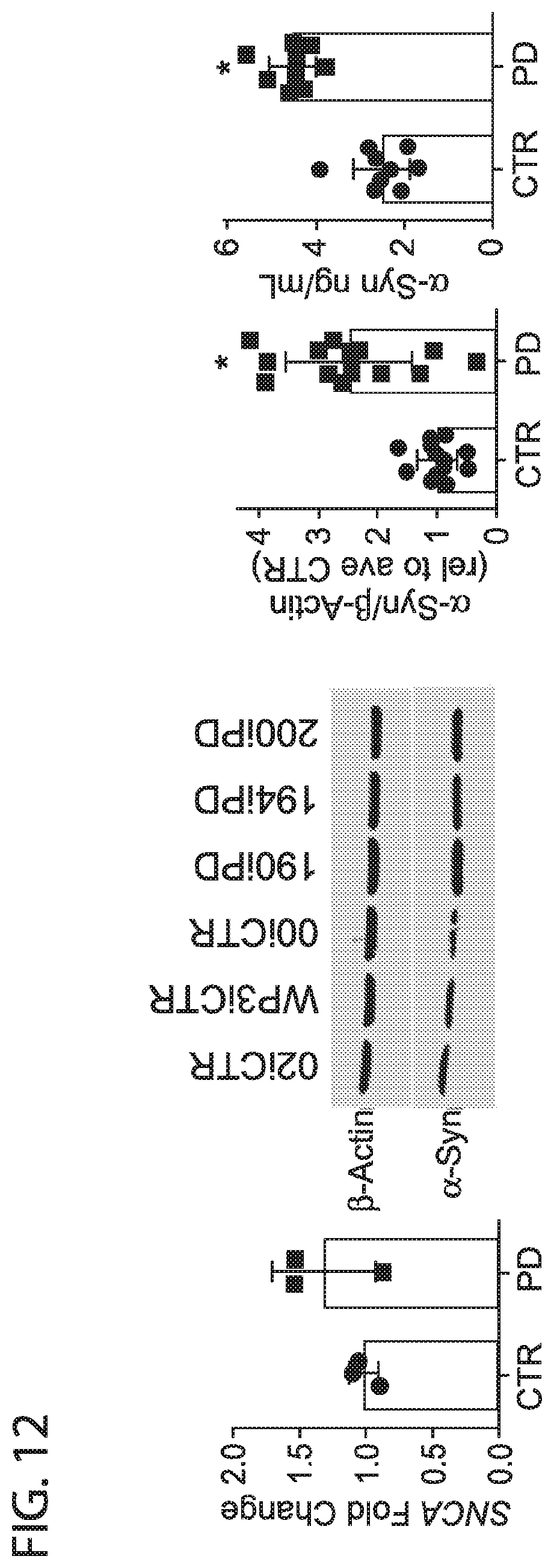 Patent US12564568 Figure 19 – PKC pathway in Parkinson's Disease