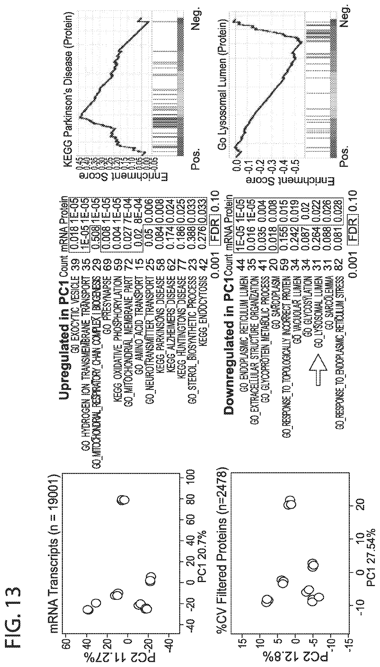 Patent US12564568 Figure 20 – PKC pathway in Parkinson's Disease
