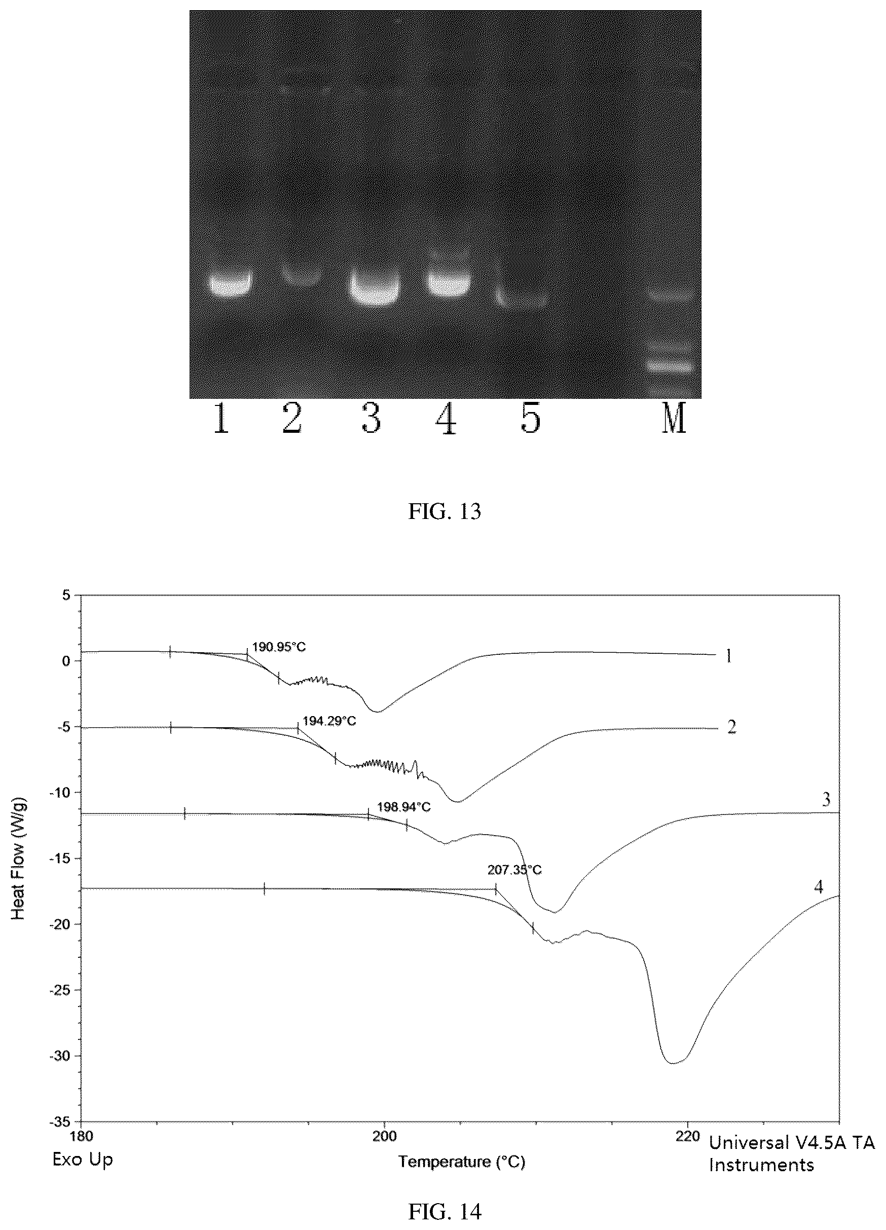 Patent US12564569 Figure 11 – Carboplatin complex and pharmaceutical preparation thereof
