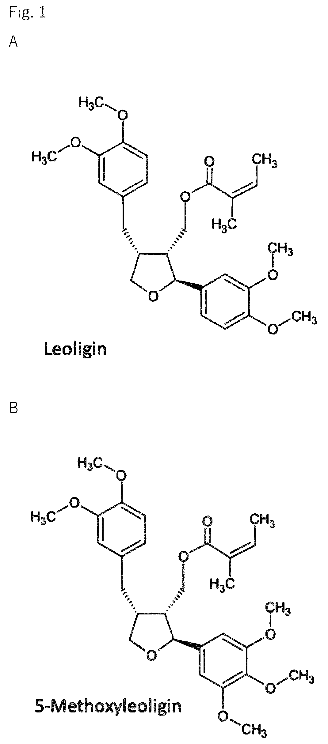 Patent US12564570 Figure 1 – Use of leoligin in the prevention of tissue damage