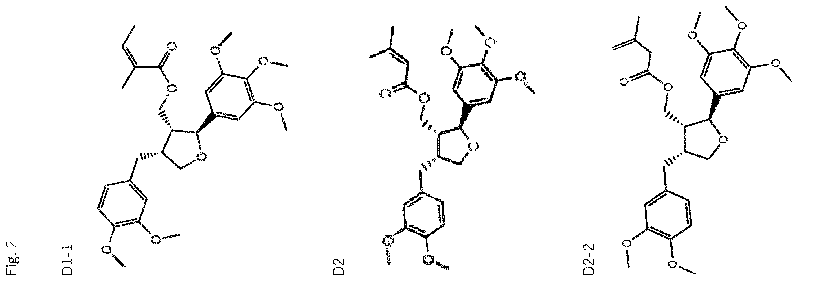 Patent US12564570 Figure 2 – Use of leoligin in the prevention of tissue damage