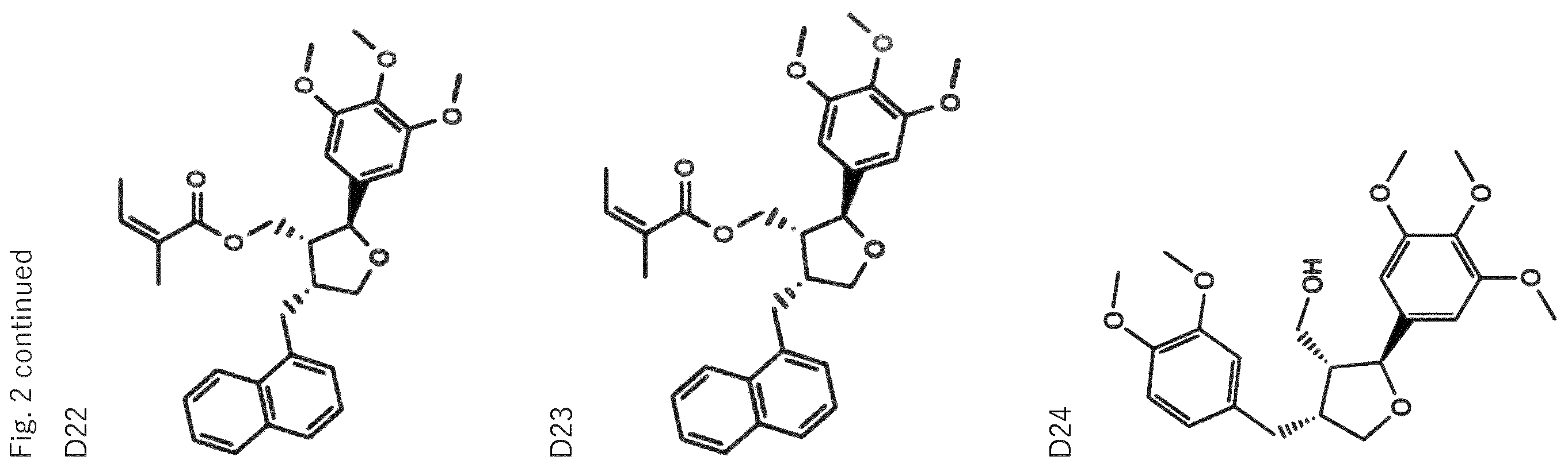 Patent US12564570 Figure 9 – Use of leoligin in the prevention of tissue damage