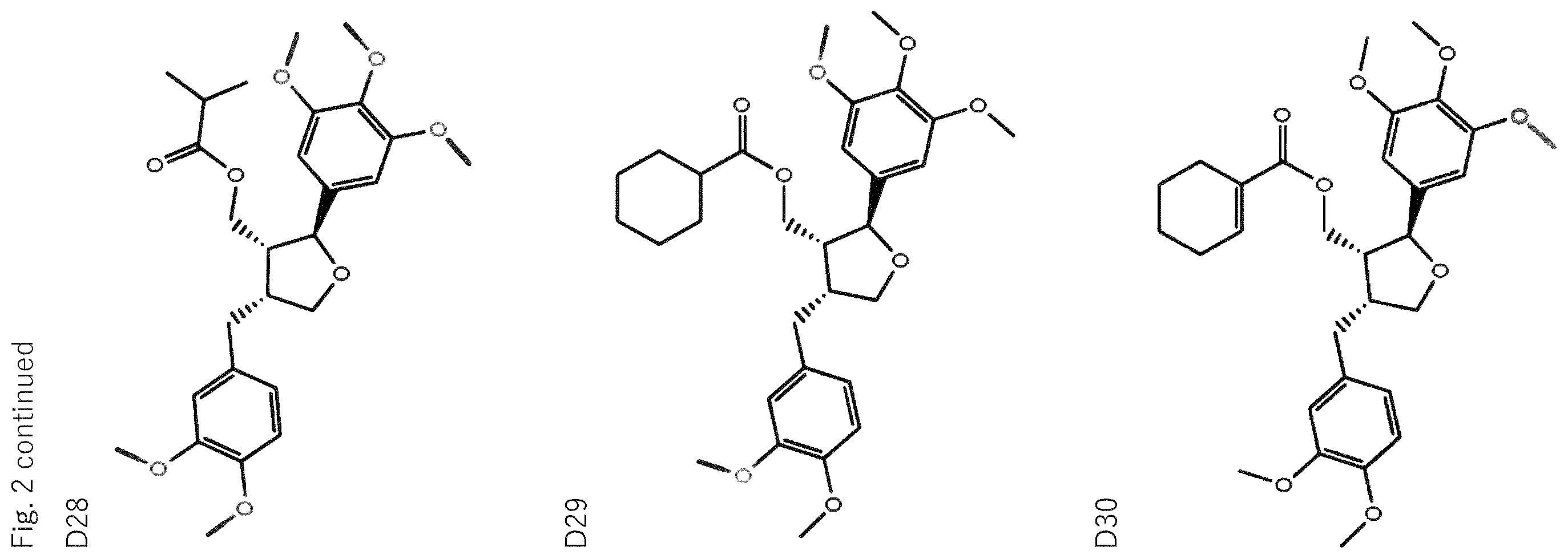 Patent US12564570 Figure 11 – Use of leoligin in the prevention of tissue damage