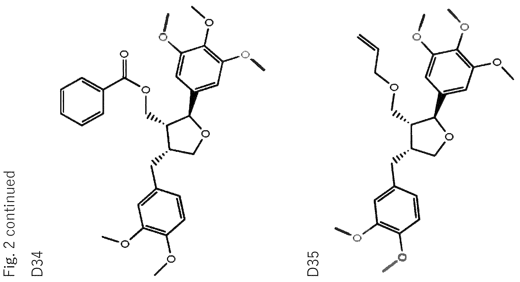 Patent US12564570 Figure 13 – Use of leoligin in the prevention of tissue damage