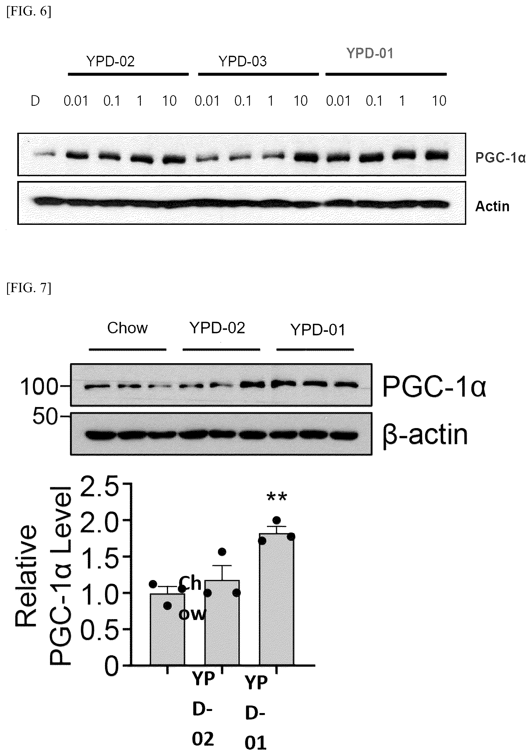 Patent US12564574 Figure 6 – Pharmaceutical composition for preventing or treating parkinson's disease, comprising 2-(4-(1-hydroxypropane-2-yl)phenyl)isoindoline-1-one compound