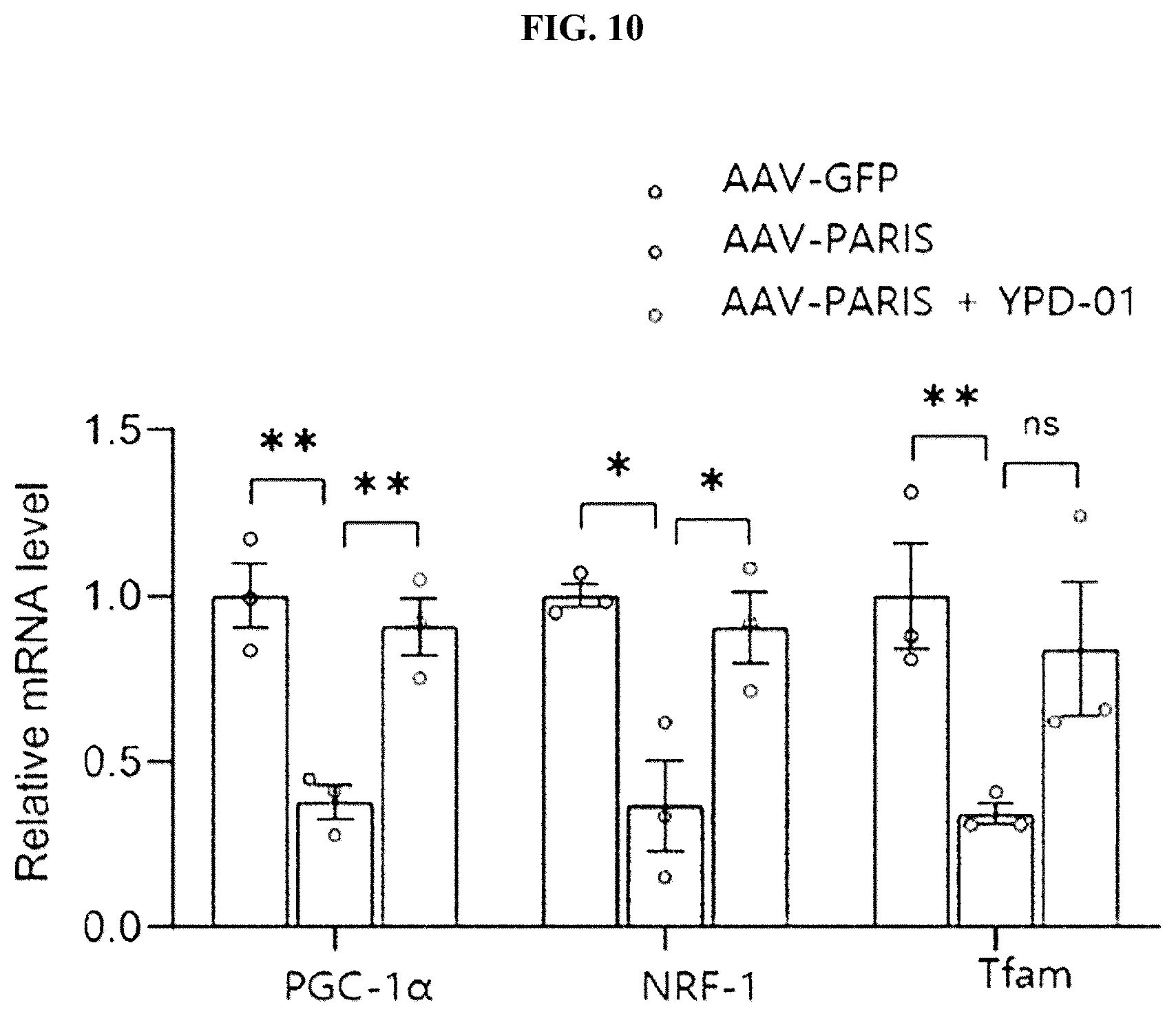 Patent US12564574 Figure 9 – Pharmaceutical composition for preventing or treating parkinson's disease, comprising 2-(4-(1-hydroxypropane-2-yl)phenyl)isoindoline-1-one compound